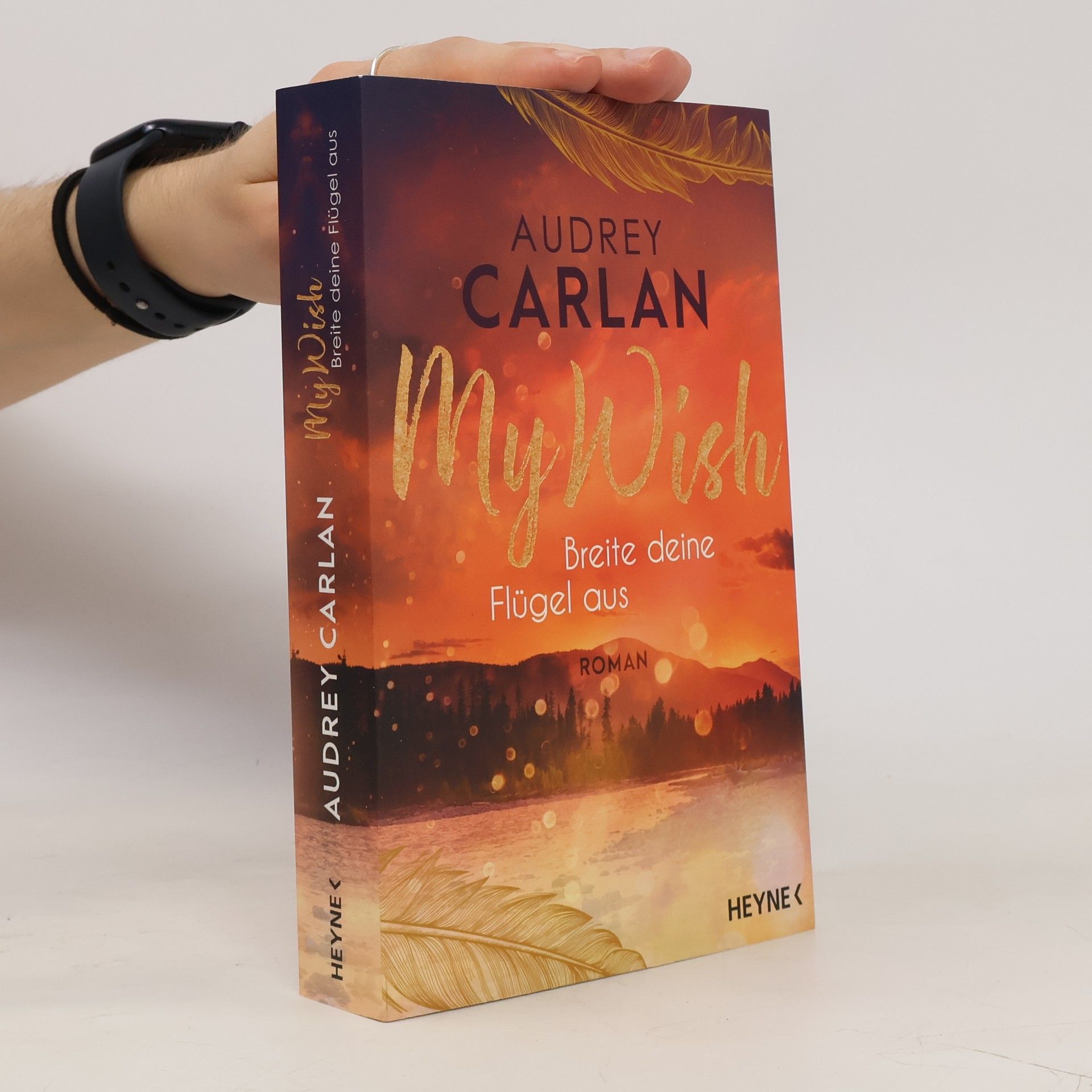 Audrey Carlan My Wish. Breite deine Flügel aus