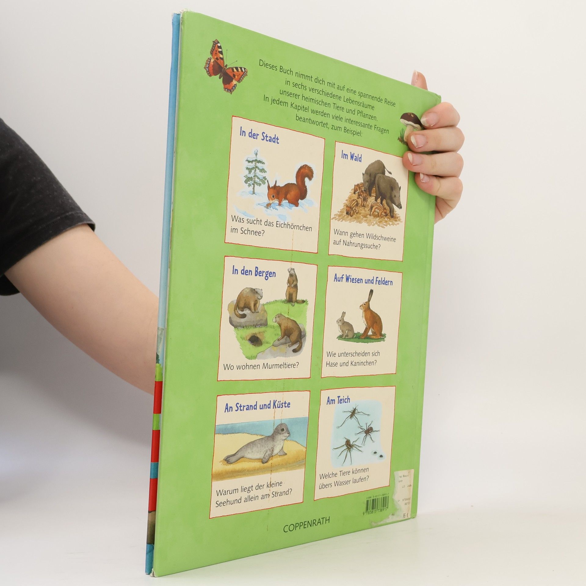 Holger Haag Mein großes Naturbuch