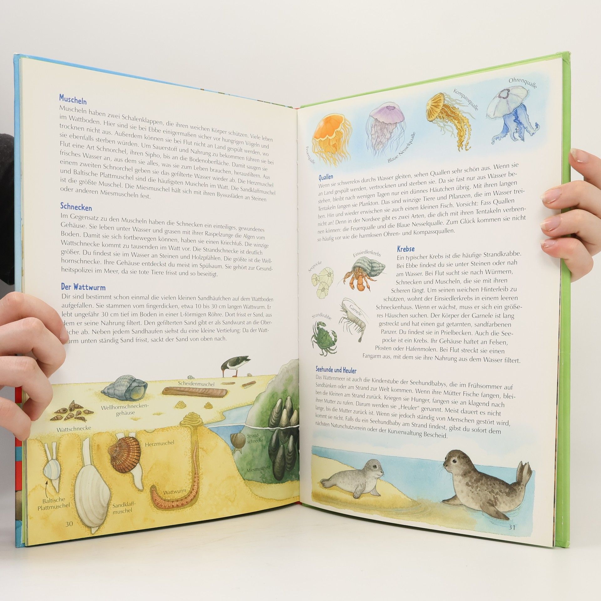 Holger Haag Mein großes Naturbuch