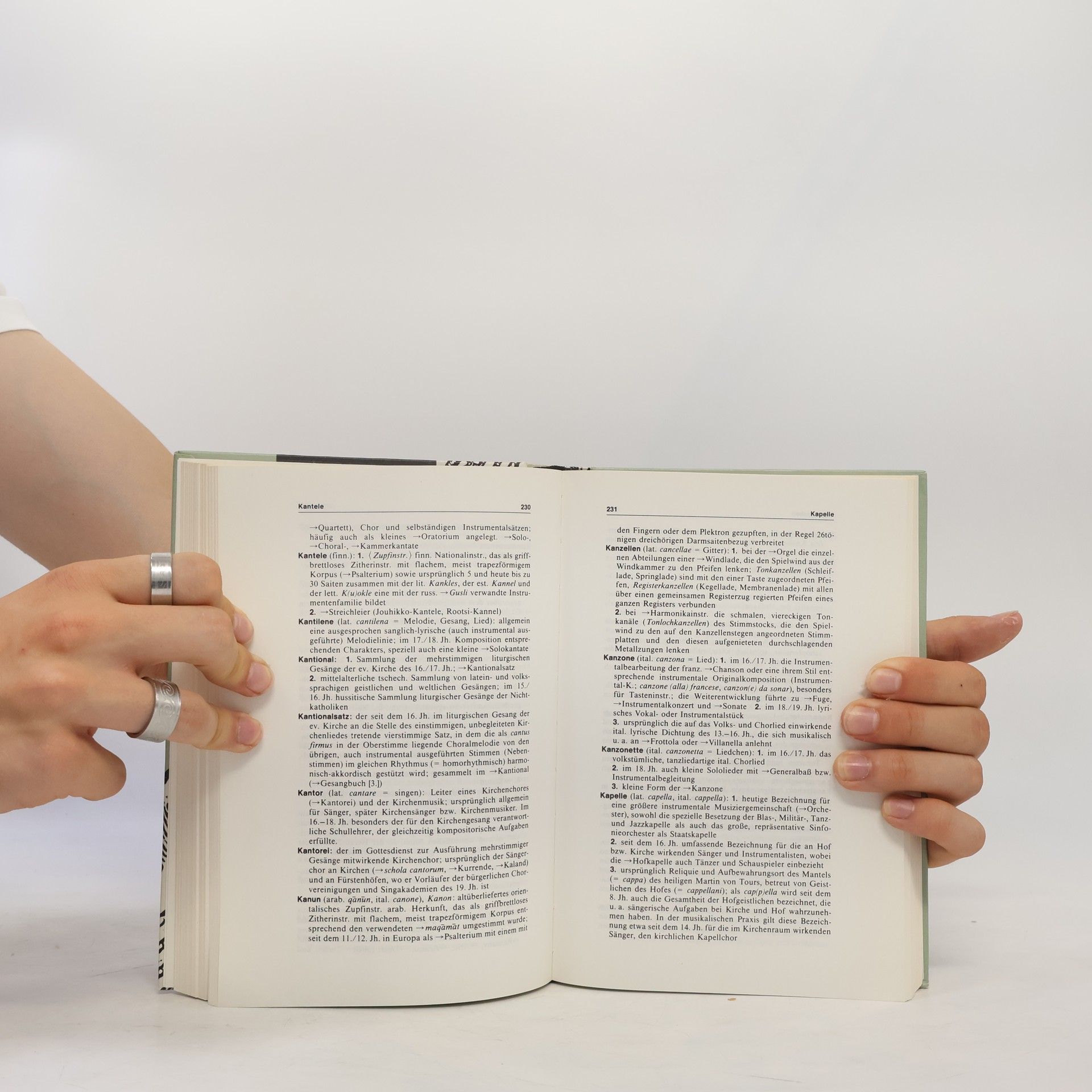 Ferdinand Hirsch Das große Wörterbuch der Musik
