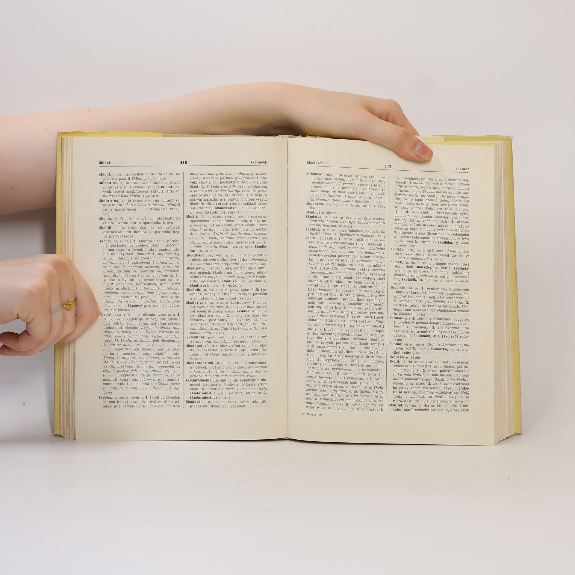 Autorenkollektiv Slovník slovenského jazyka IV. s-u