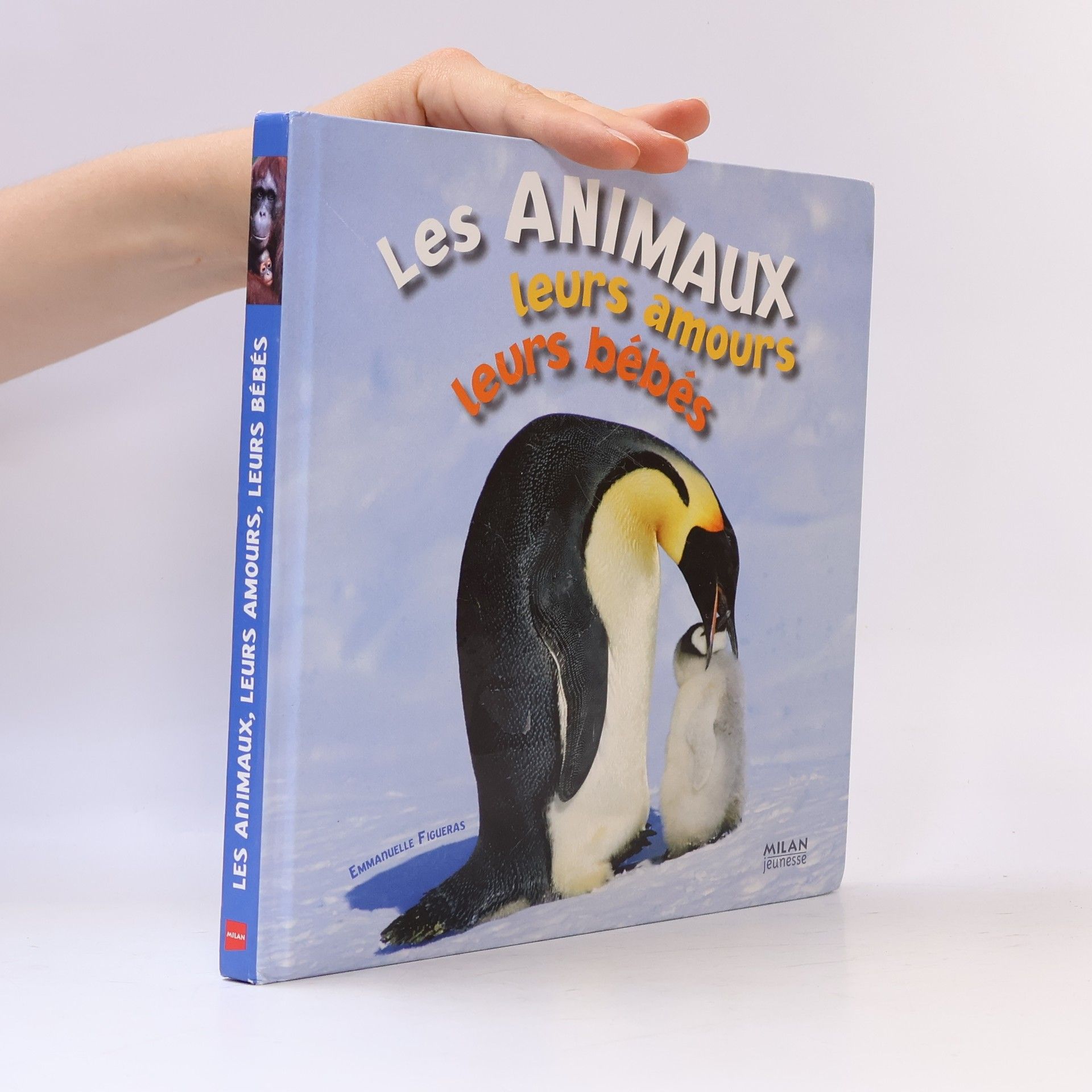 Les animaux, leurs amours, leurs bébés