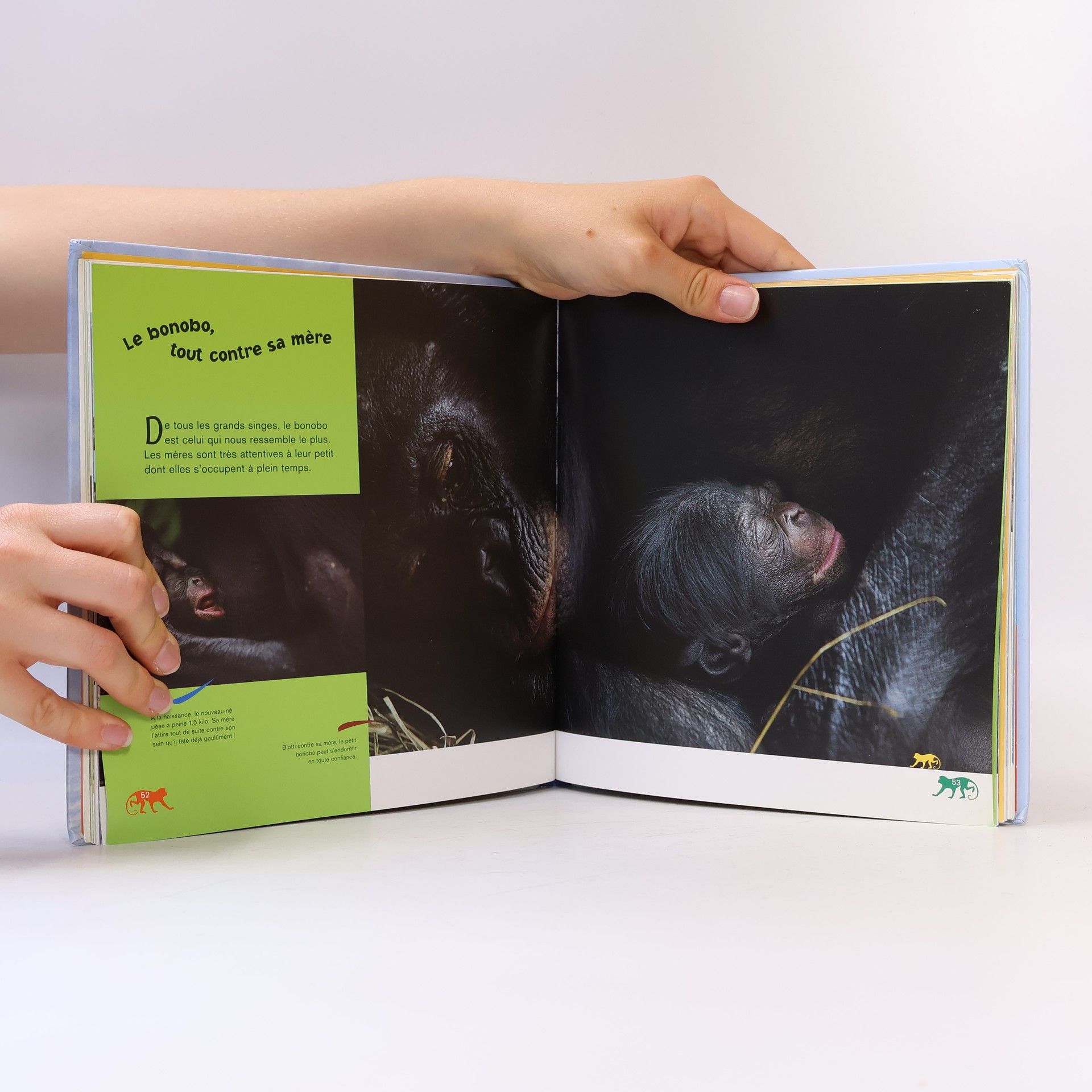 Emmanuelle Figueras Les animaux, leurs amours, leurs bébés