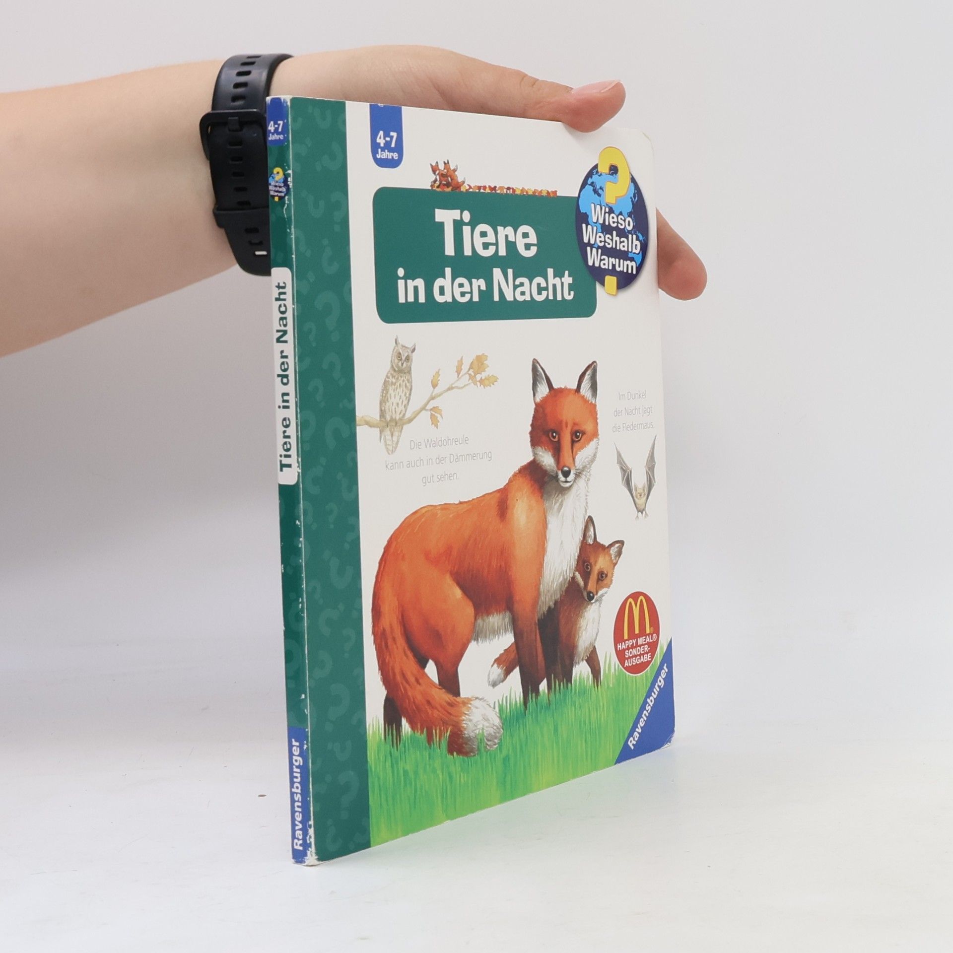 Anne Ebert Tiere in der Nacht
