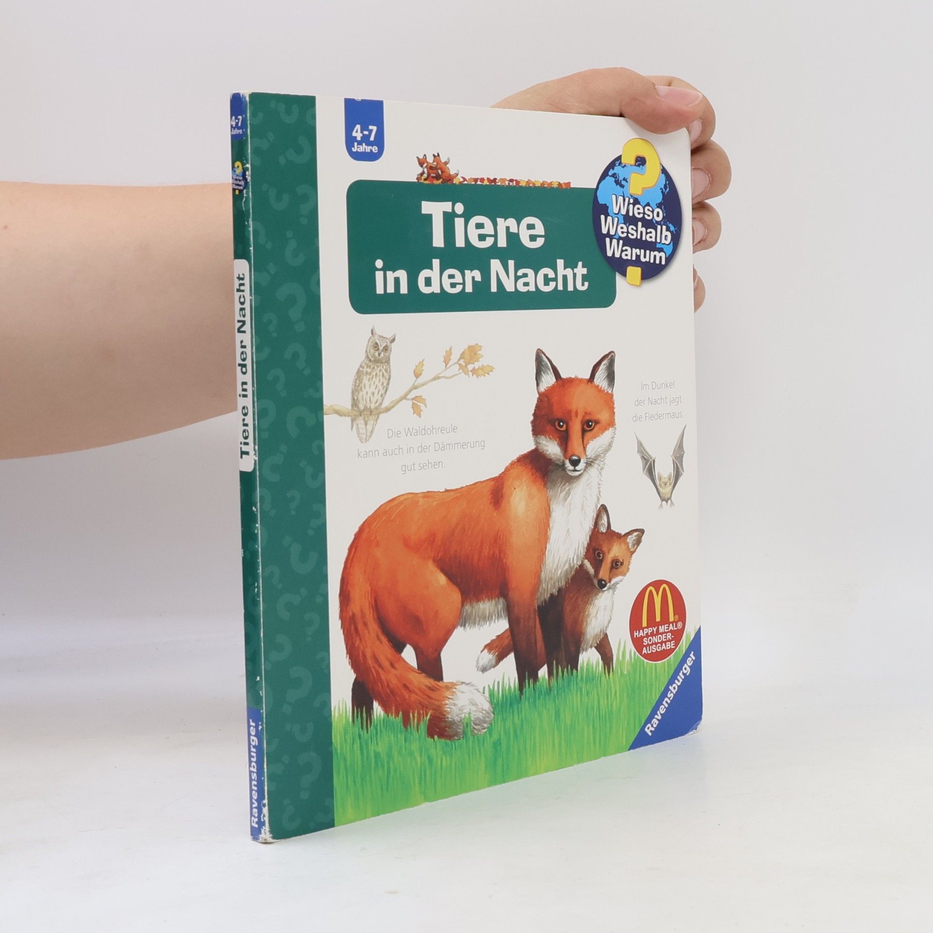 Anne Ebert Tiere in der Nacht