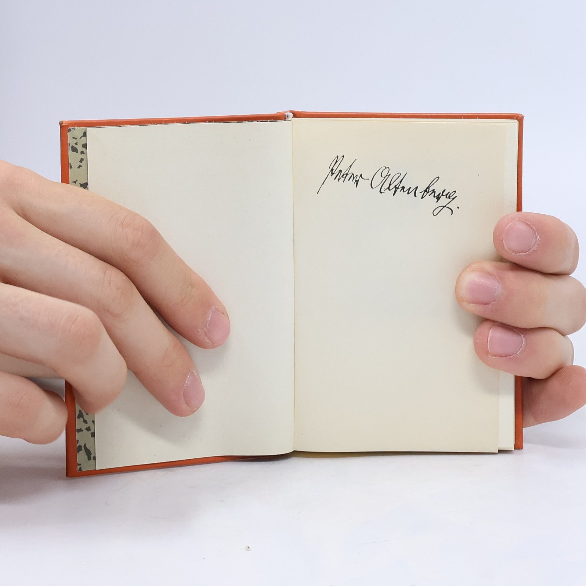 Peter Altenberg Er liebte und sah