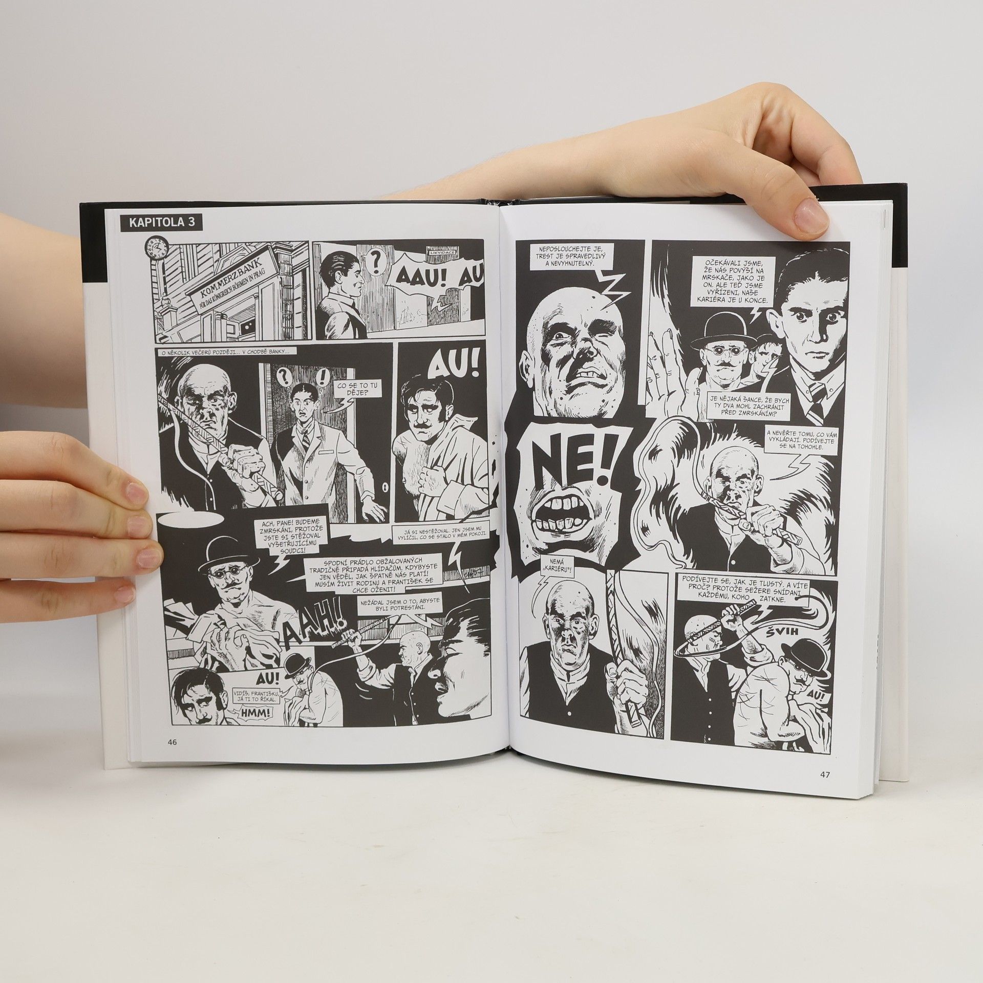 David Zane Mairowitz Proces (komiks)