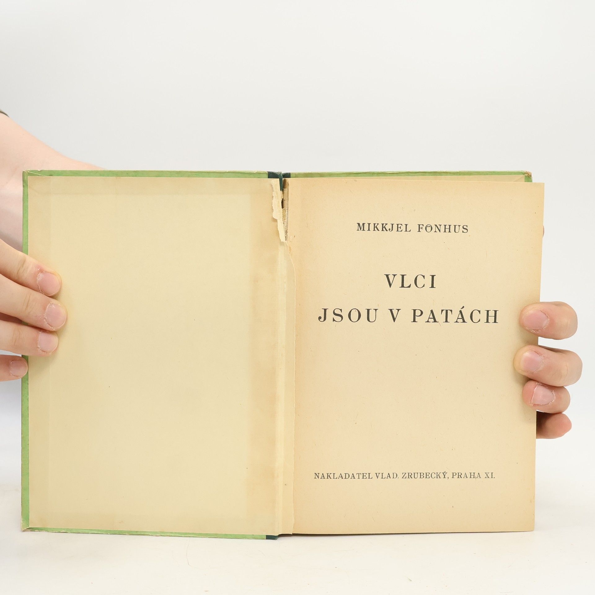 Mikkjel Fönhus Vlci jsou v patách