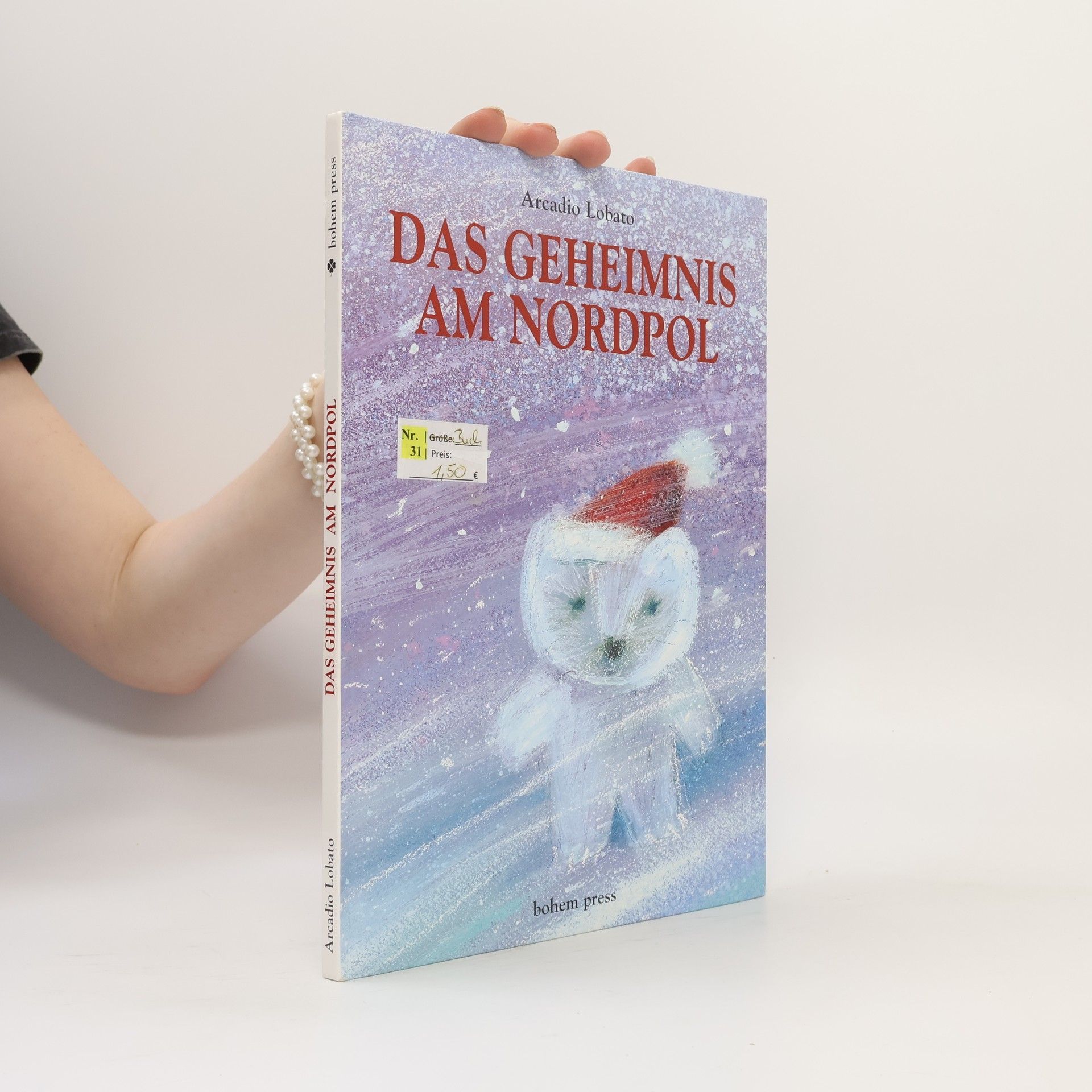 Arcadio Lobato Das Geheimnis am Nordpol