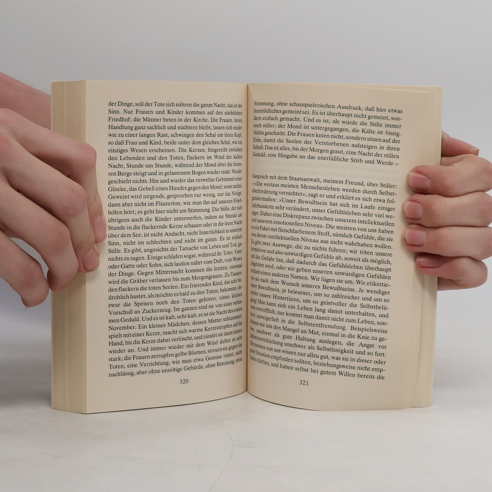 Max Frisch Stiller