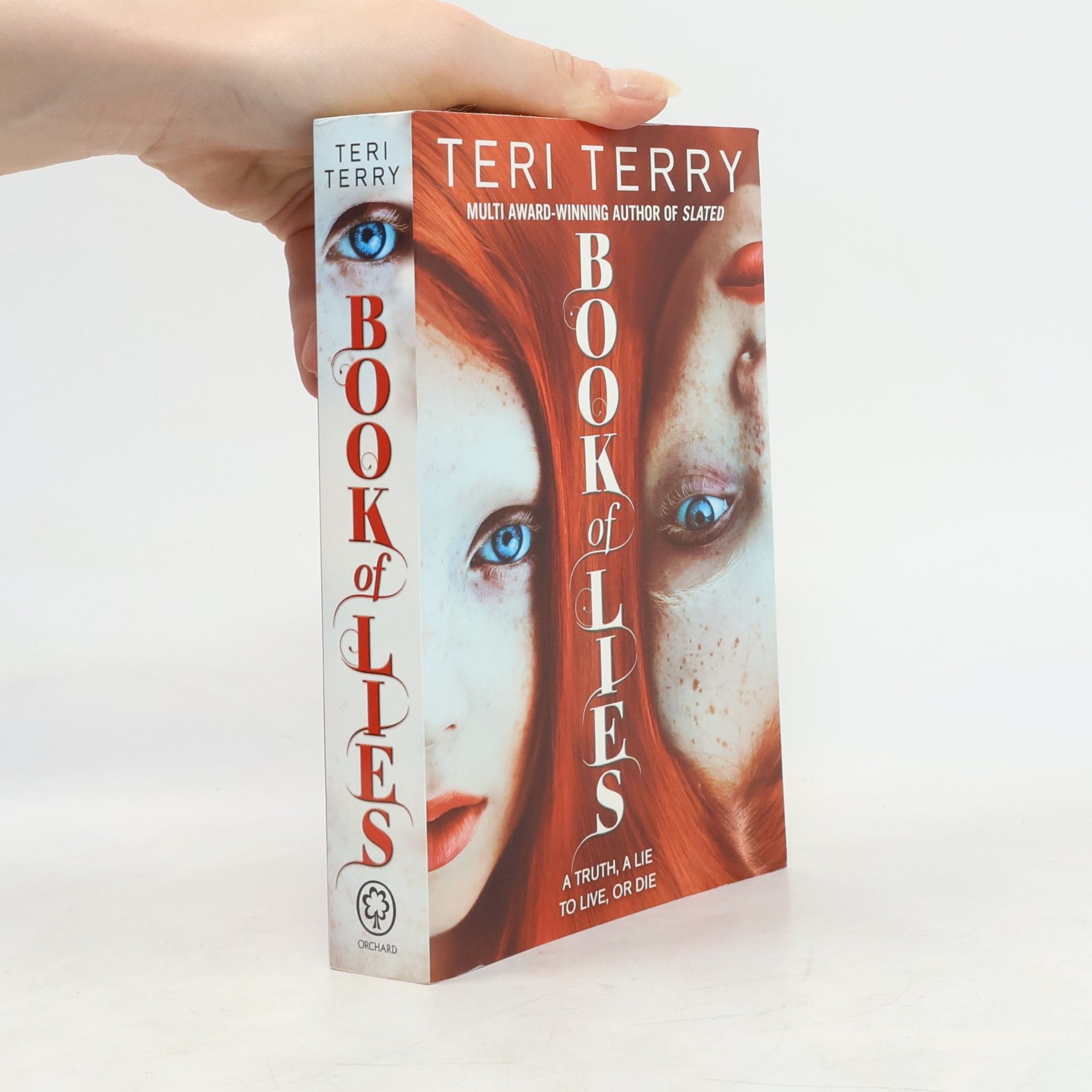 Teri Terry Book of Lies