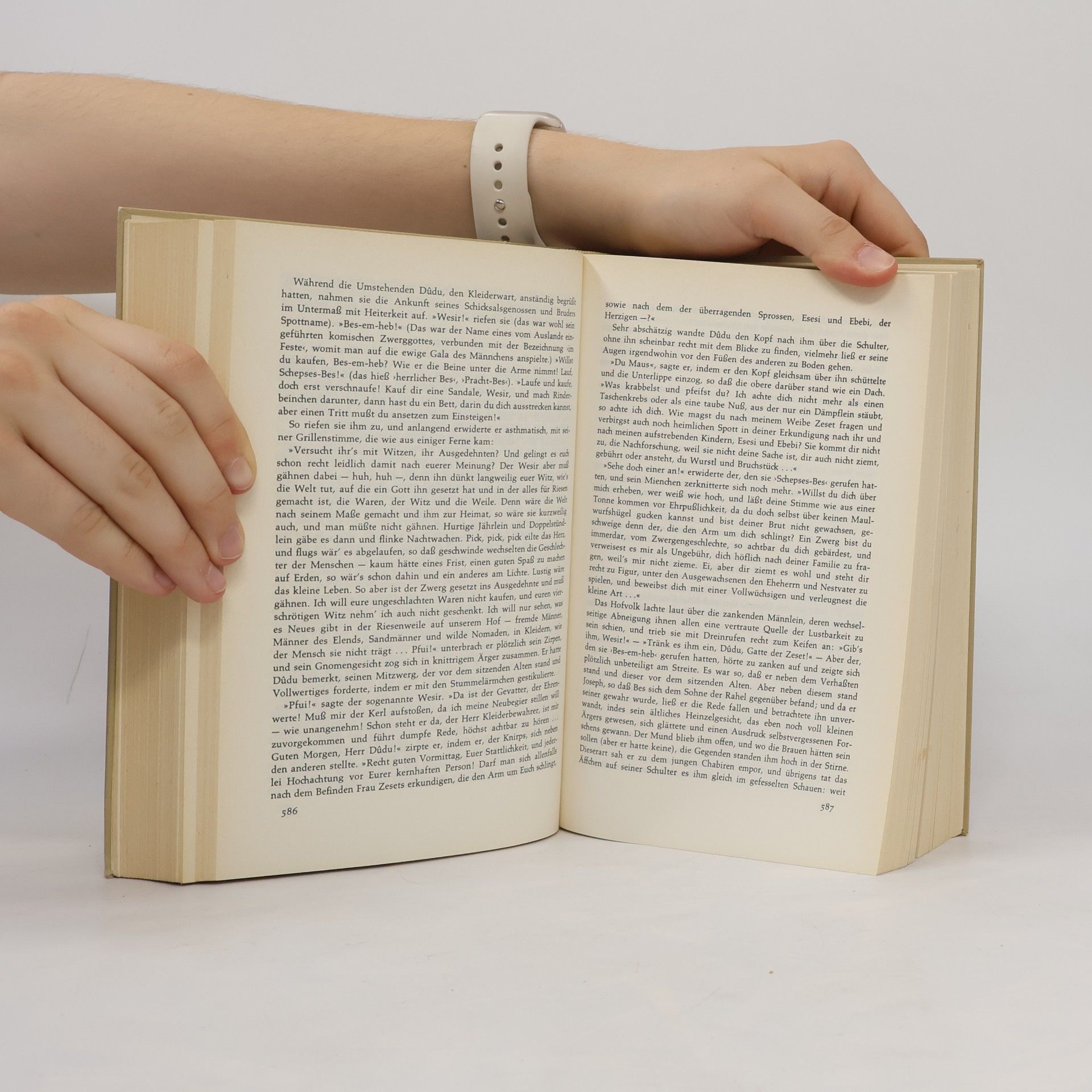 Thomas Mann Joseph und seine Brüder