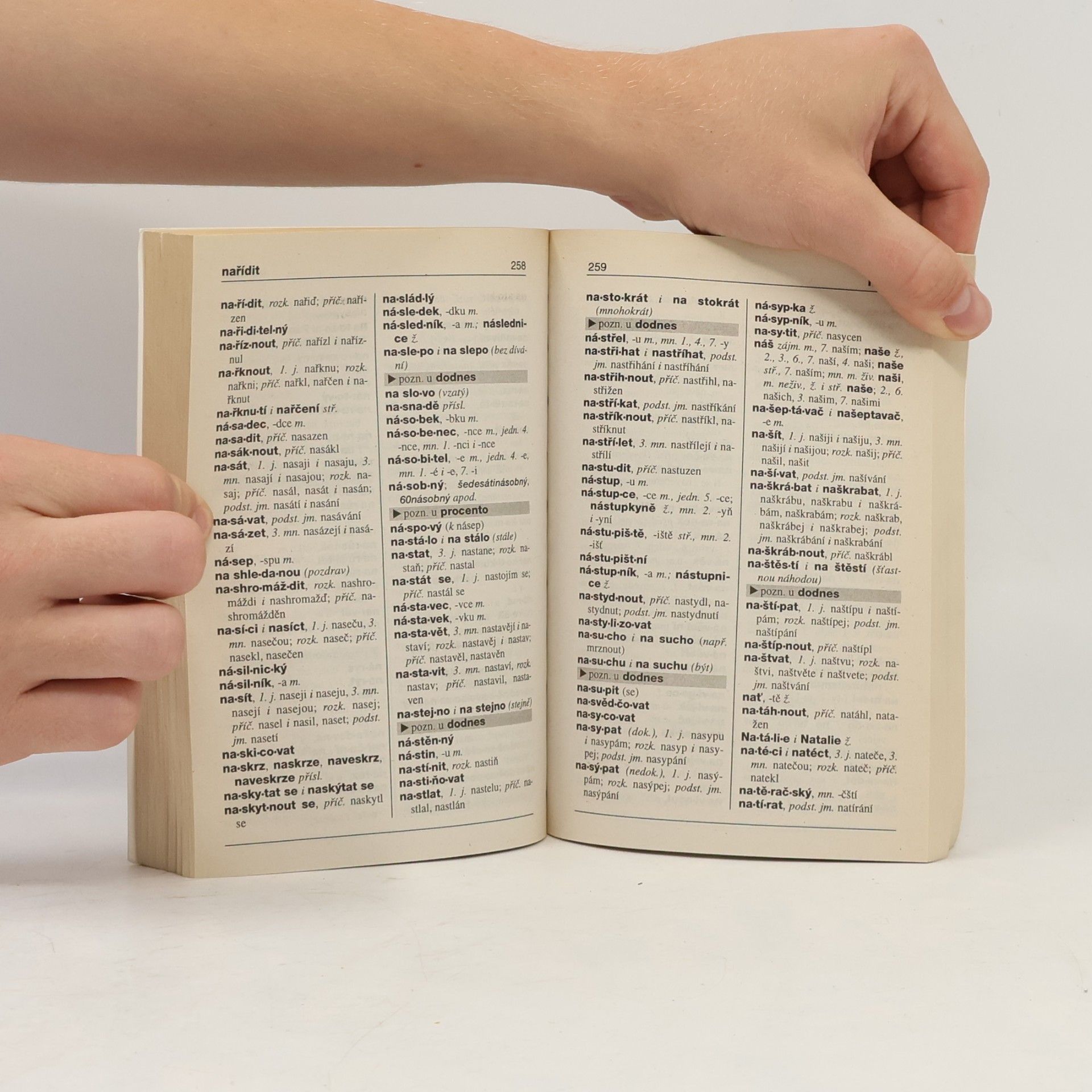 Autorenkollektiv Pravidla českého pravopisu