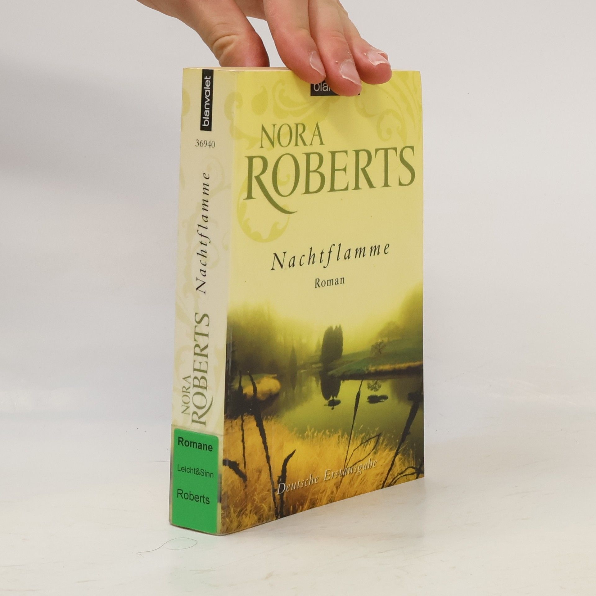 Nora Roberts Nachtflamme