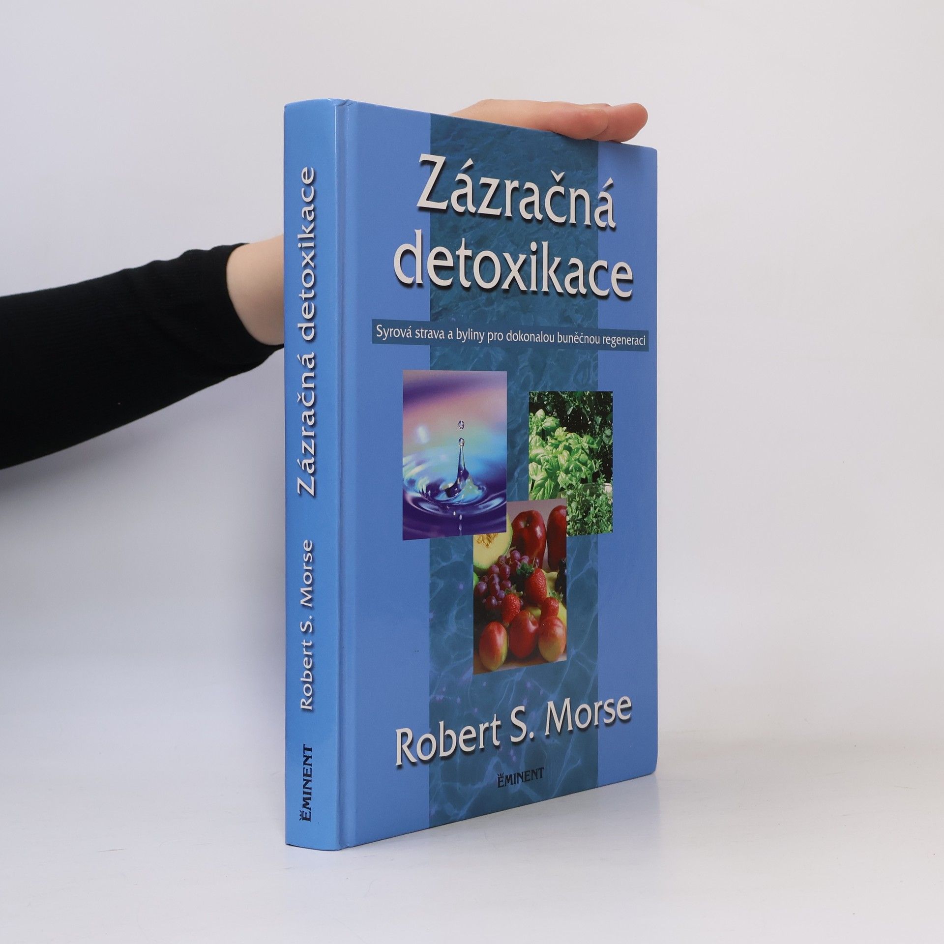 Robert Morse Zázračná detoxikace