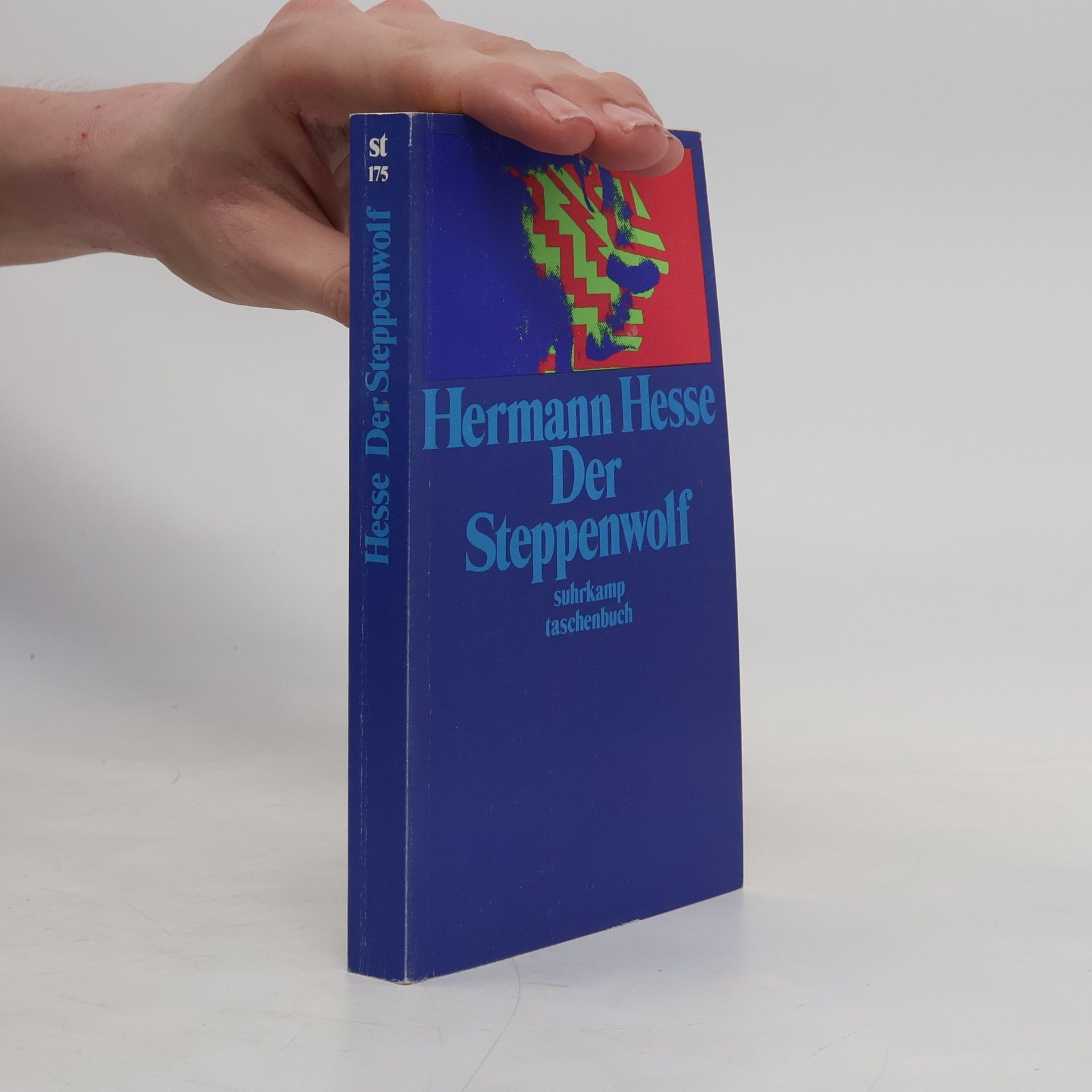 Hermann Hesse Der Steppenwolf