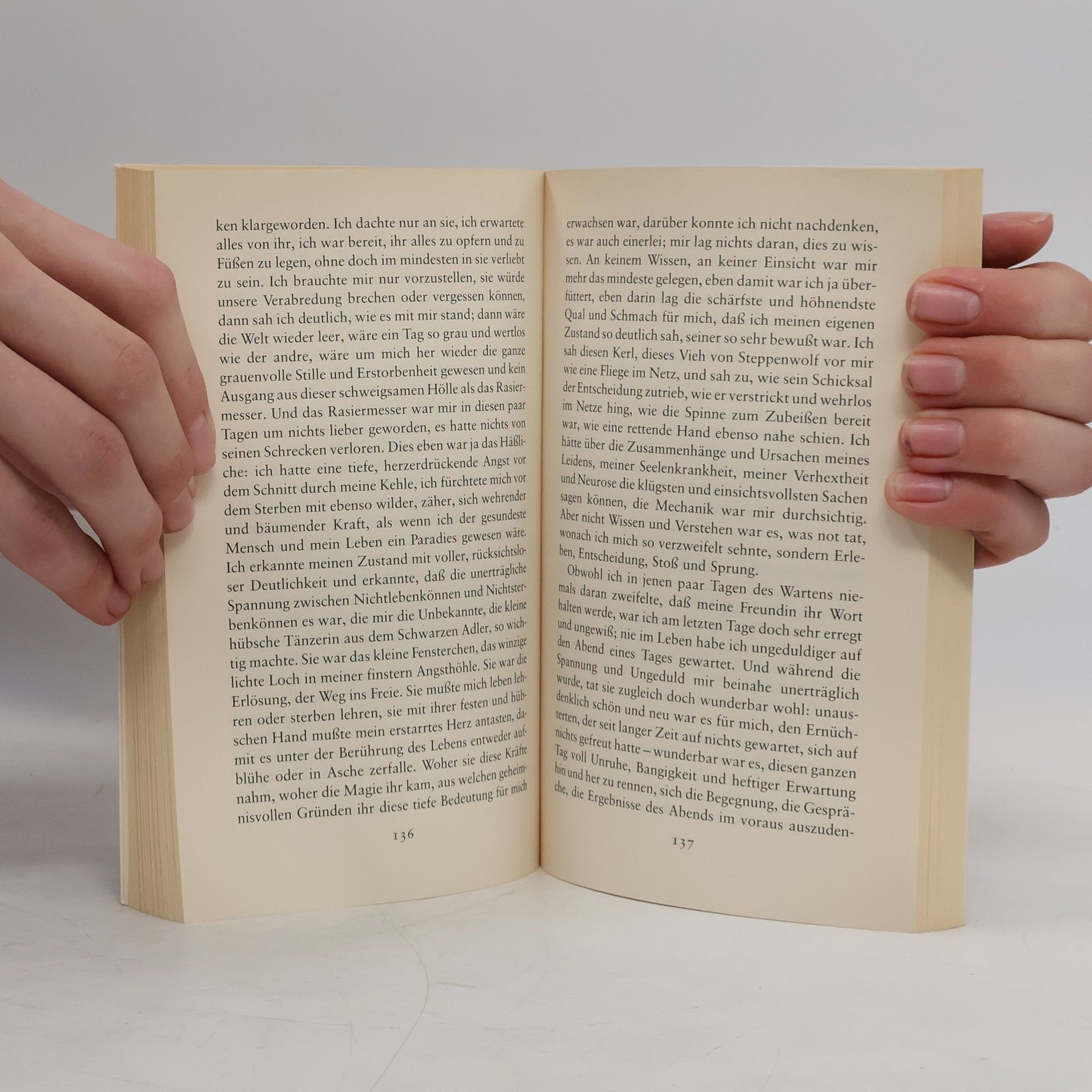 Hermann Hesse Der Steppenwolf