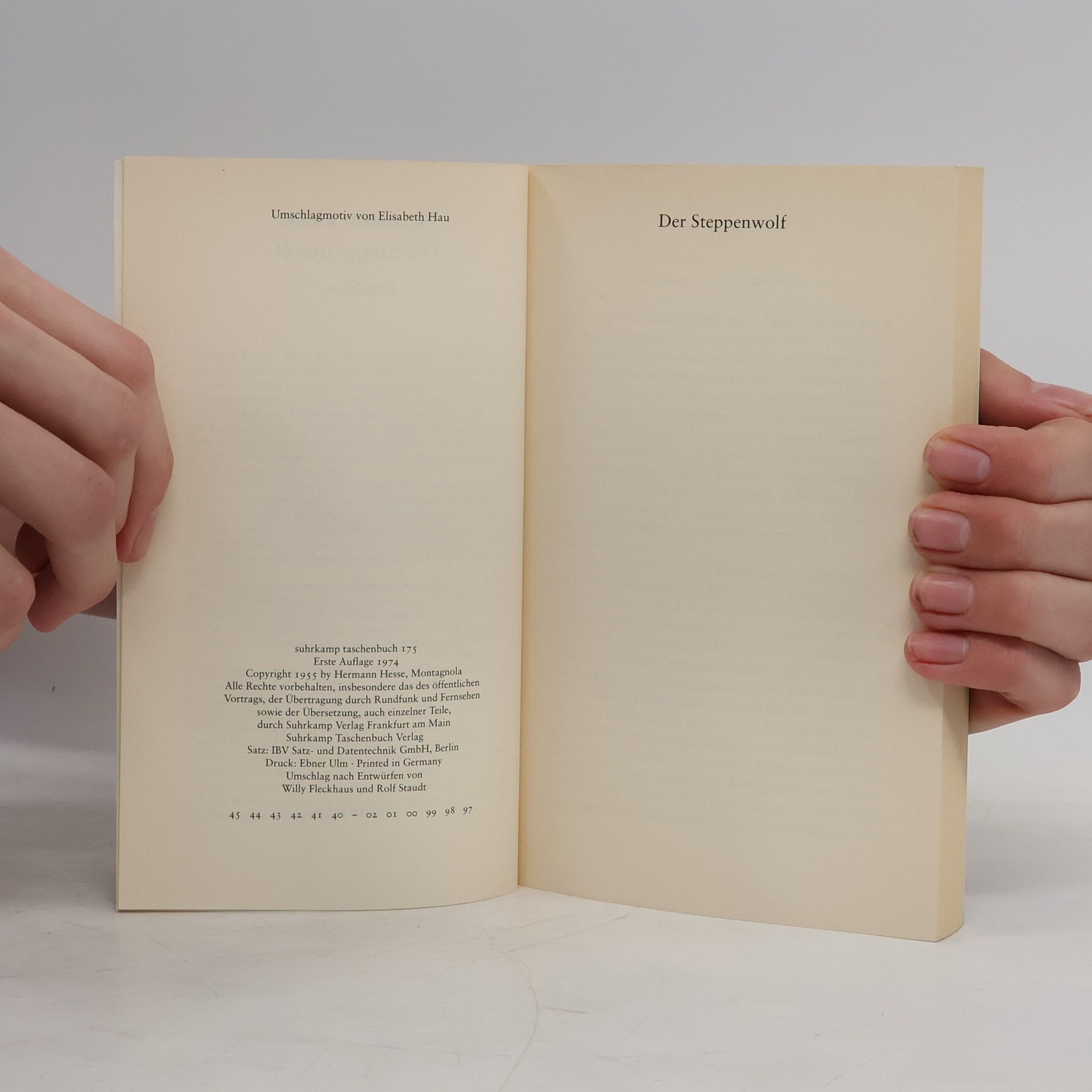 Hermann Hesse Der Steppenwolf
