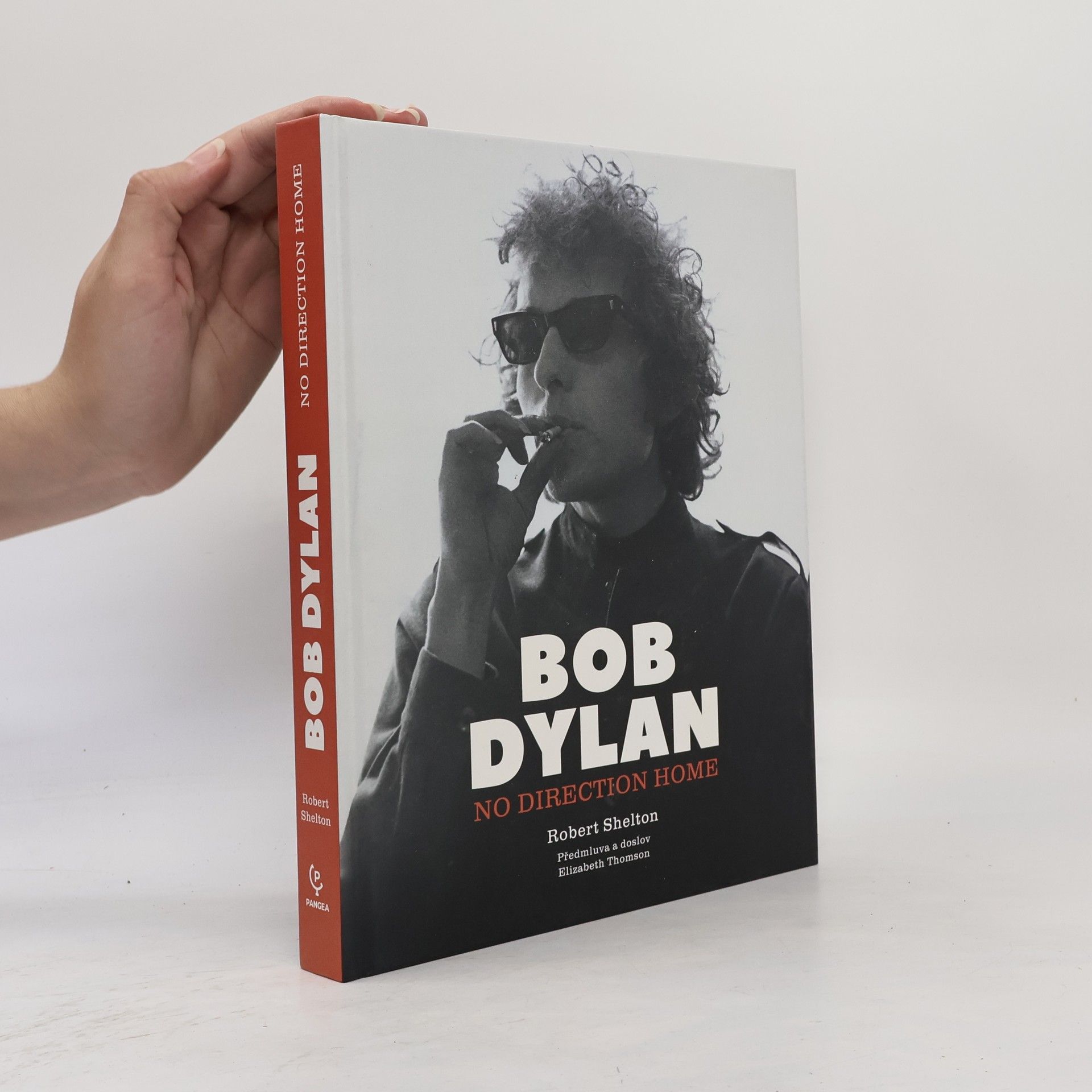 Robert Shelton Bob Dylan: No Direction Home