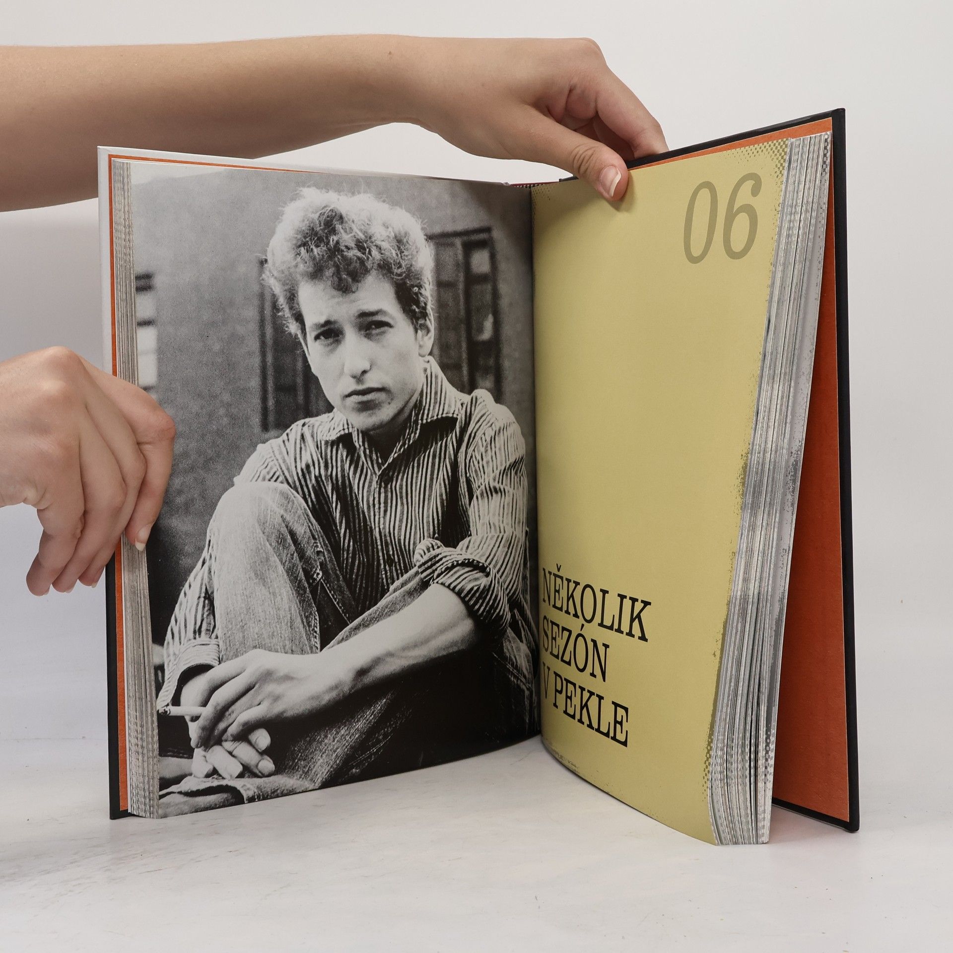 Robert Shelton Bob Dylan: No Direction Home