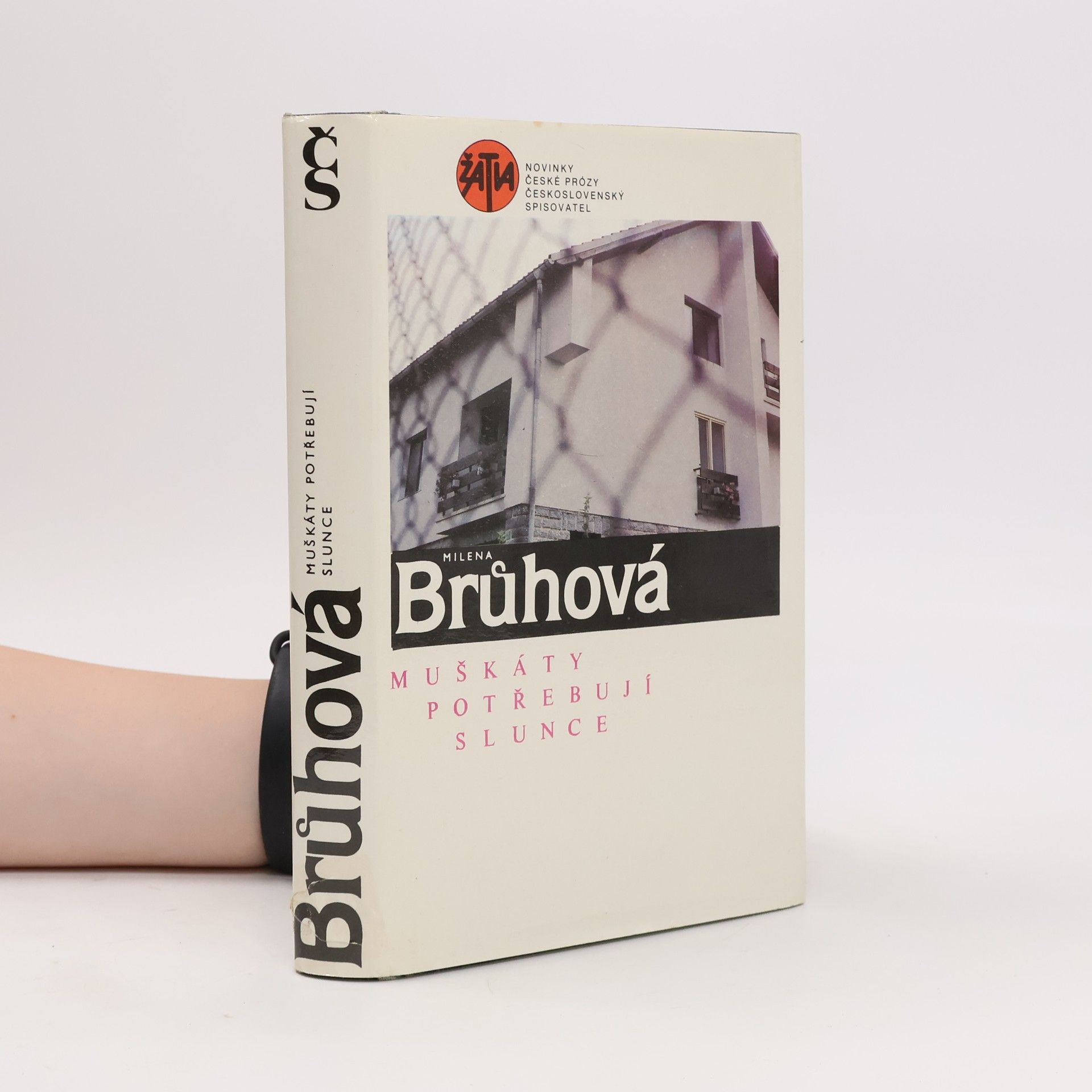 Milena Brůhová Muškáty potřebují slunce