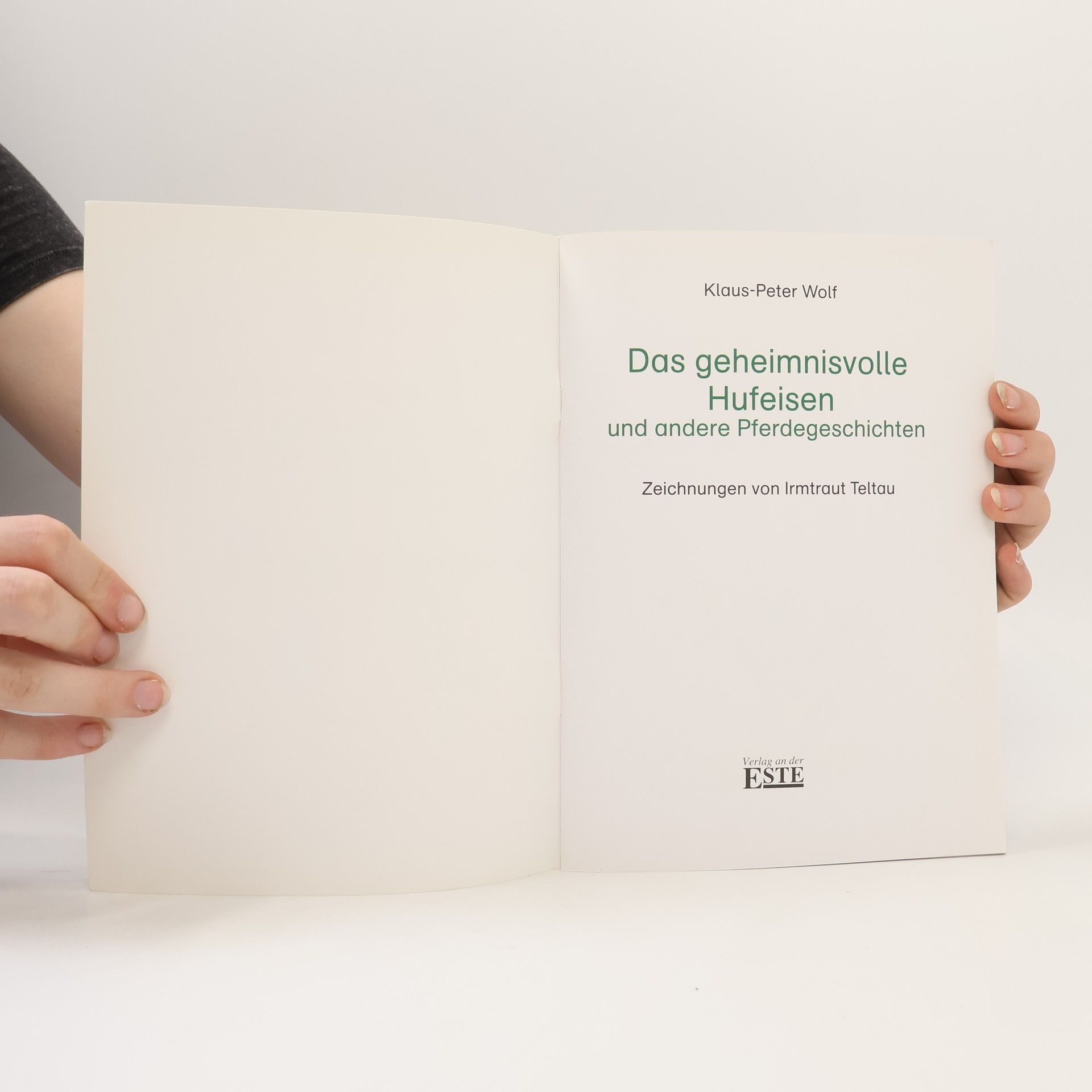 Irmtraut Teltau Das geheimnisvolle Hufeisen und andere Pferdegeschichten