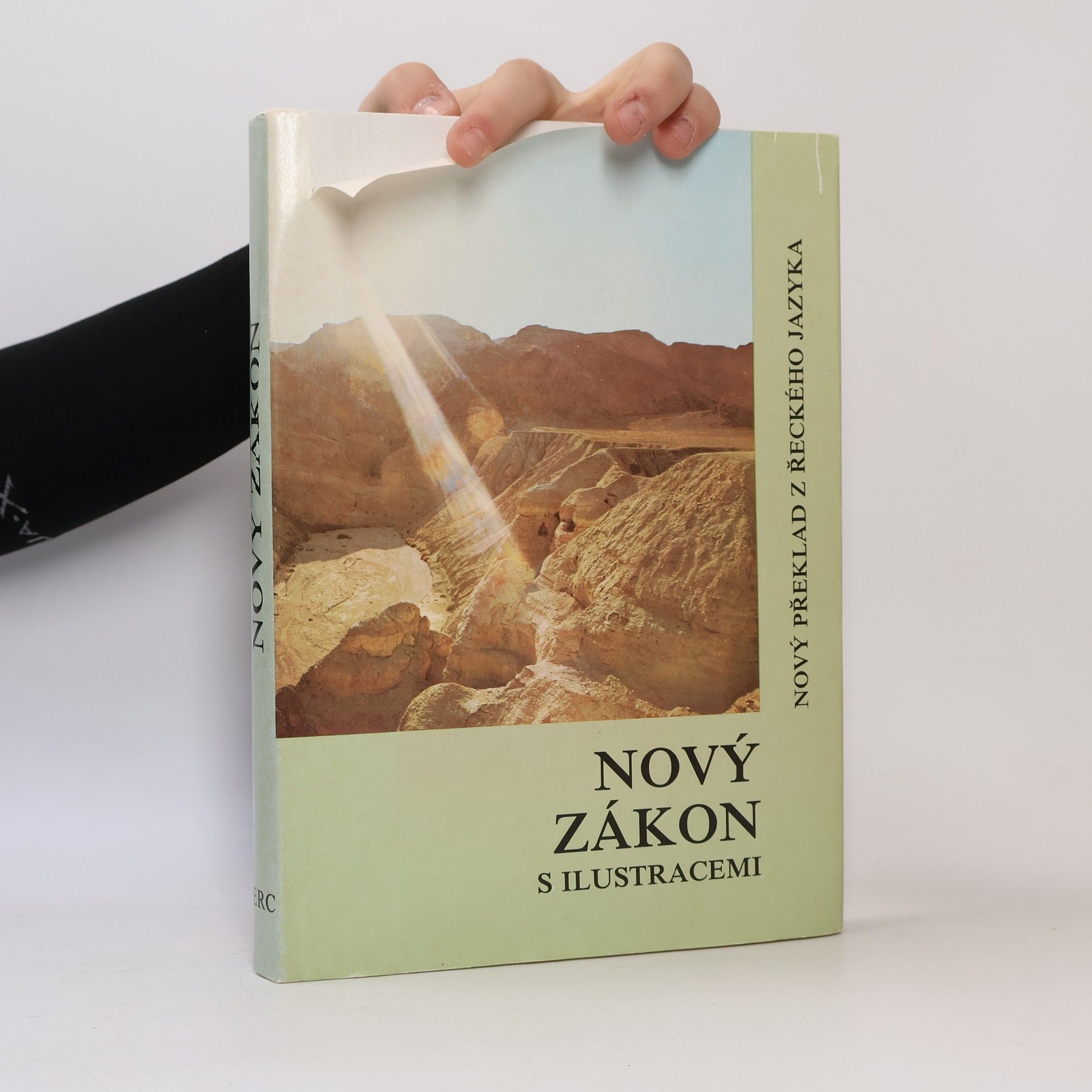 Various authors Nový Zákon s ilustracemi