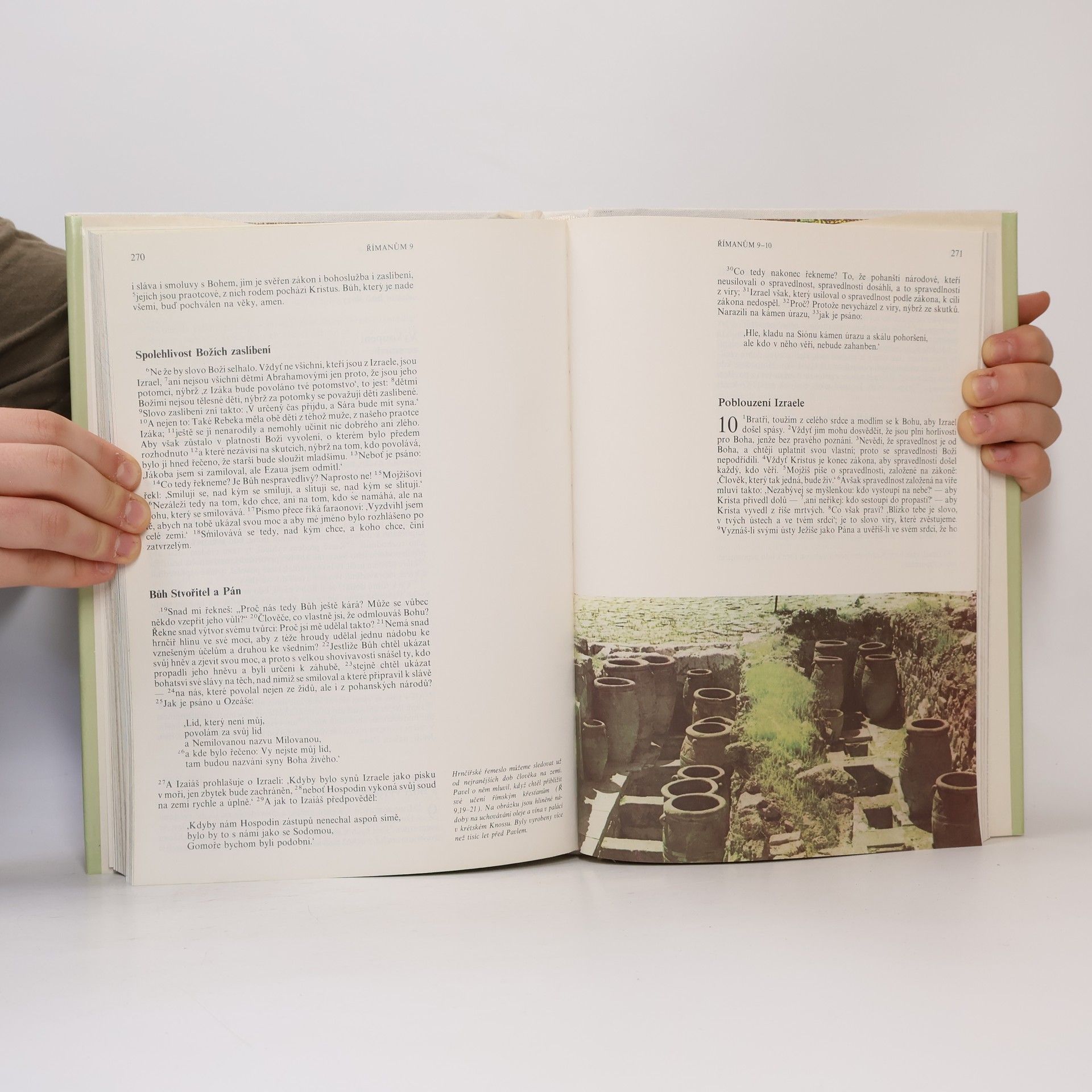 Various authors Nový Zákon s ilustracemi
