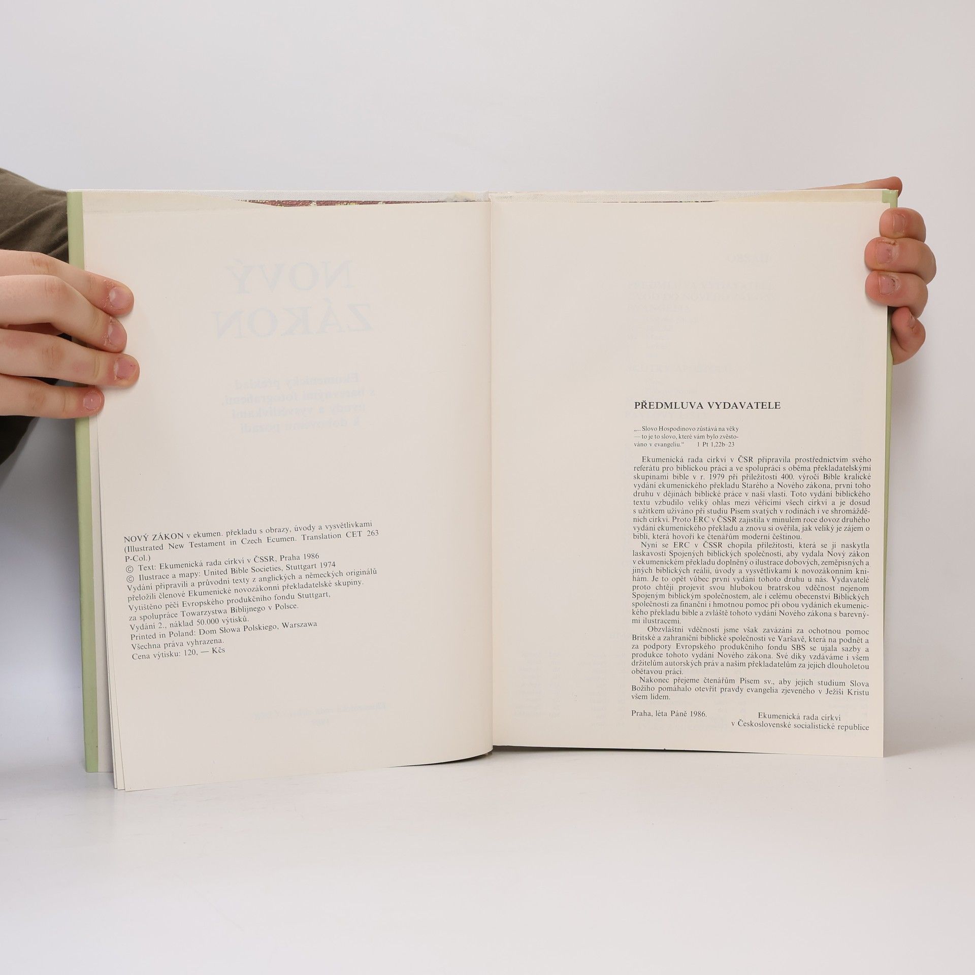 Various authors Nový Zákon s ilustracemi