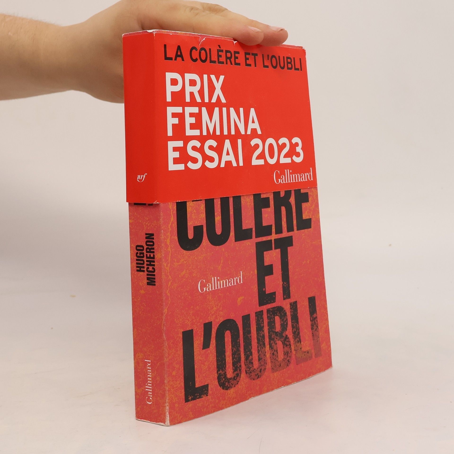 Hugo Micheron La colère et l'oubli