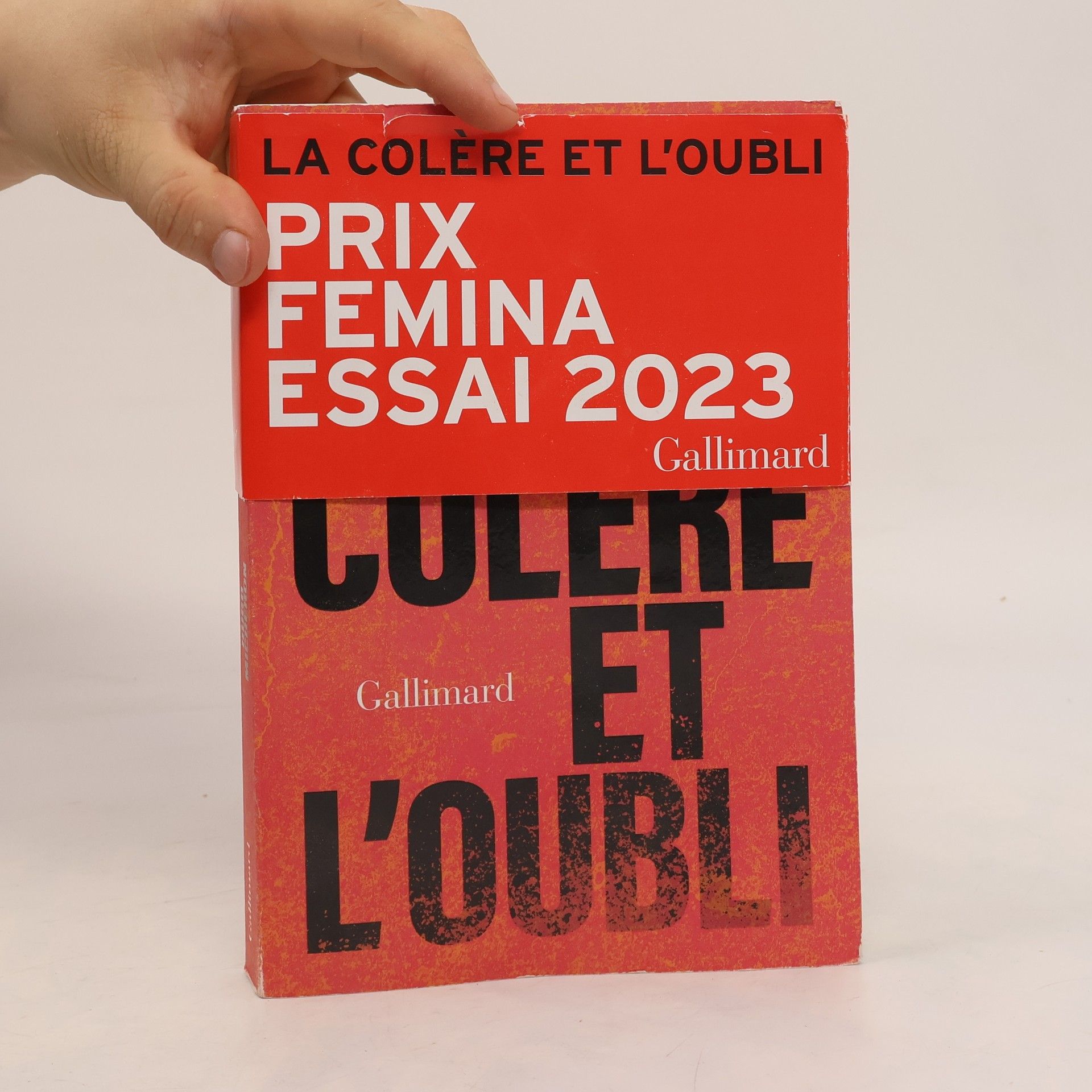 Hugo Micheron La colère et l'oubli
