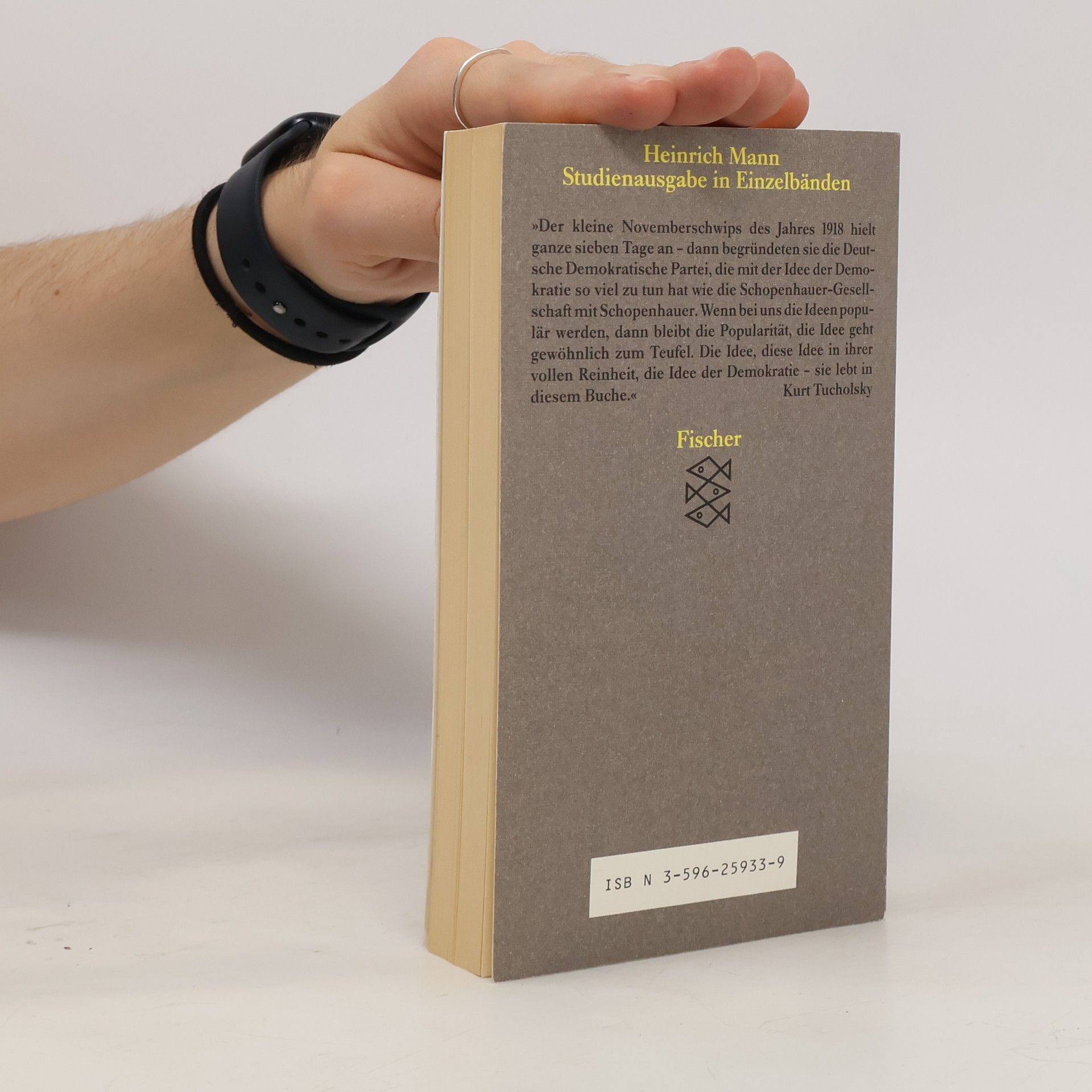 Heinrich Mann Macht und Mensch : Essays