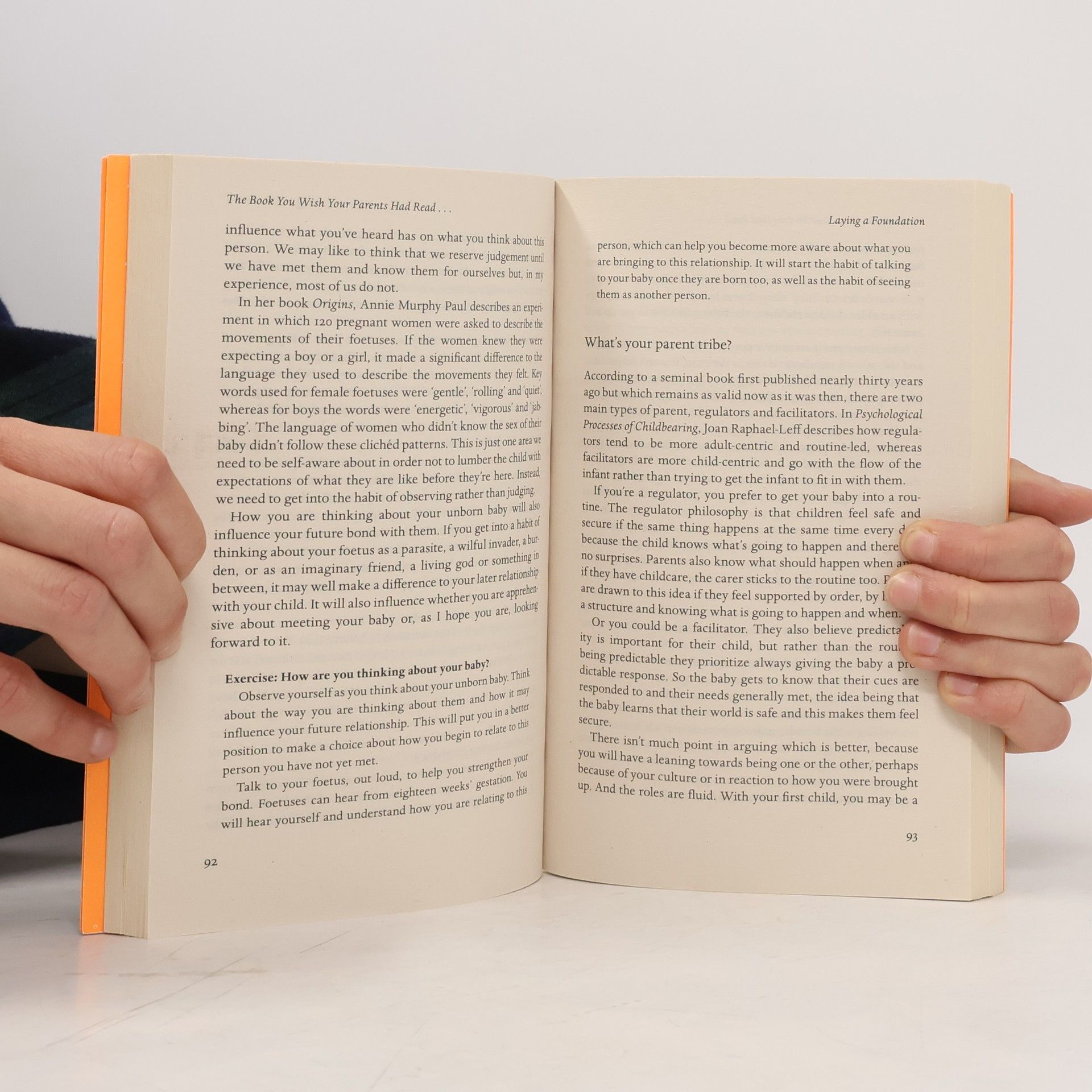 Philippa Perry The Book You Wish Your Parents Had Read (And Your Children Will Be Glad That You Did)