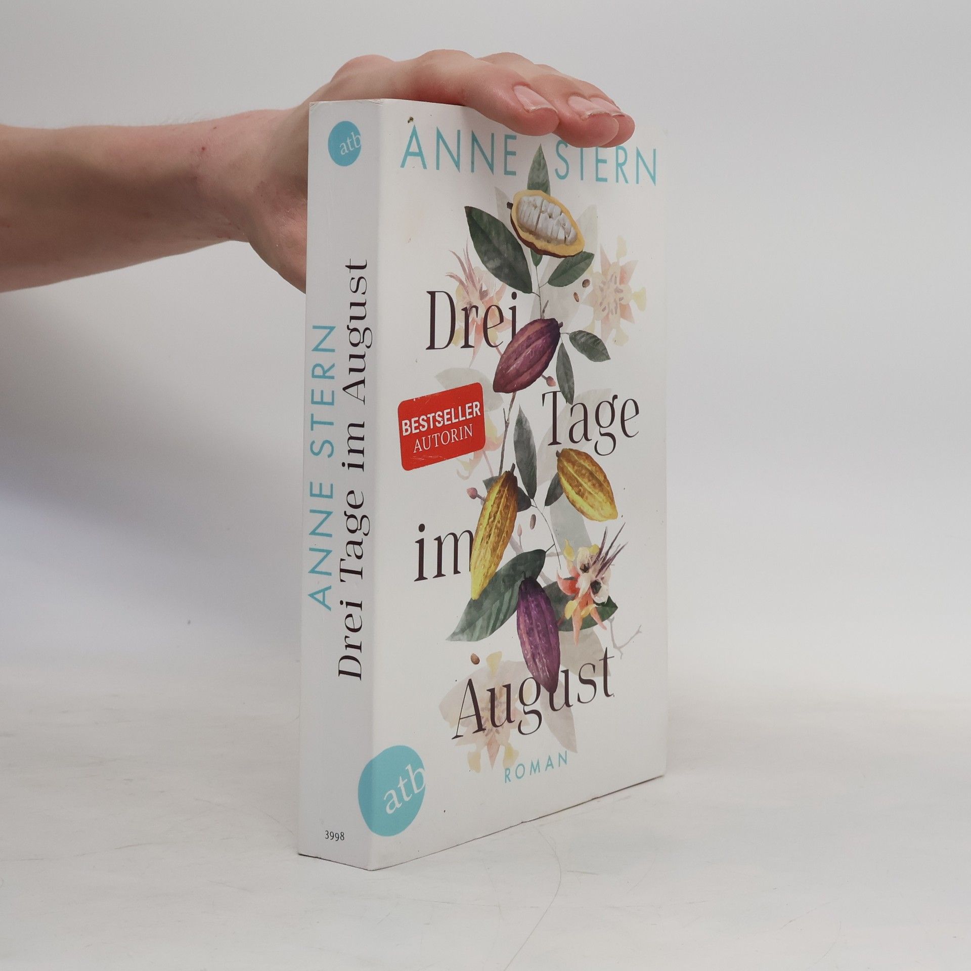 Anne Stern Drei Tage im August