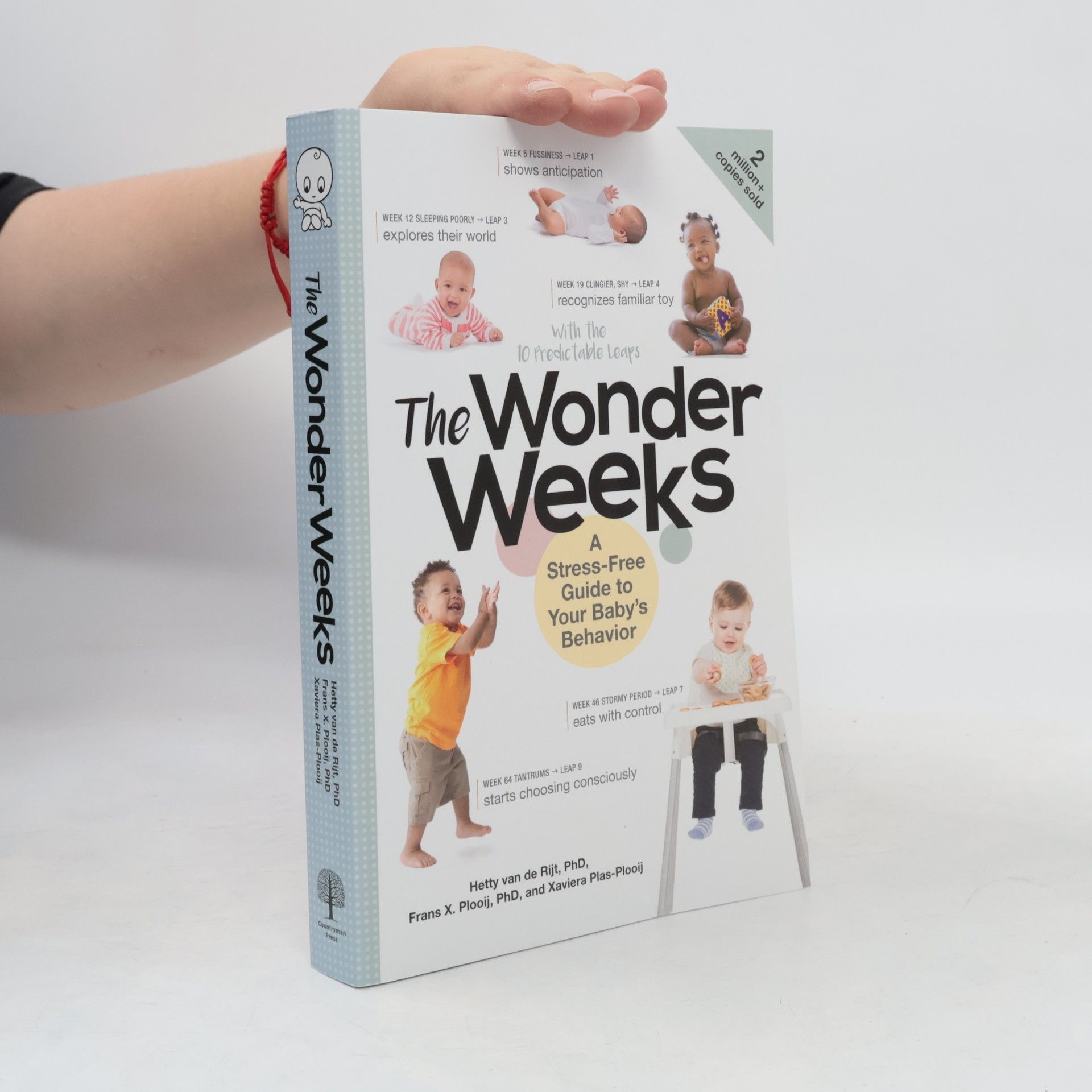 Hetty van den Rijt The wonder weeks : a stress-free guide to your baby's behavior