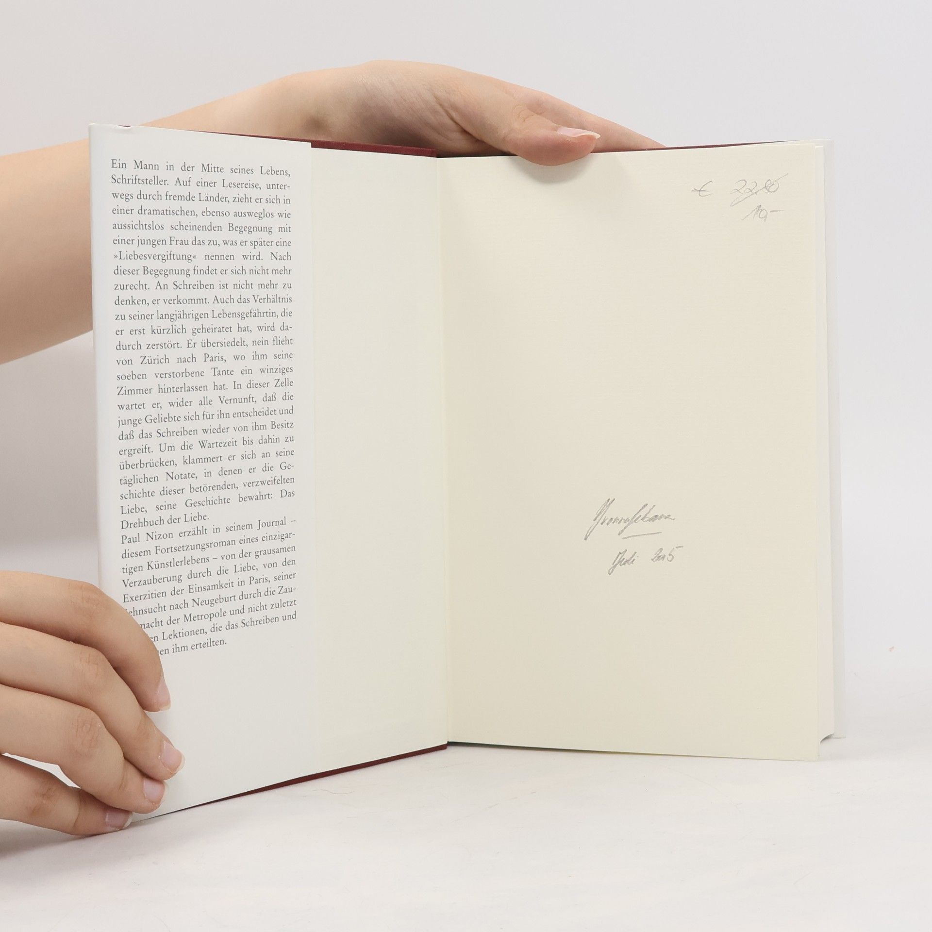 Paul Nizon Das Drehbuch der Liebe