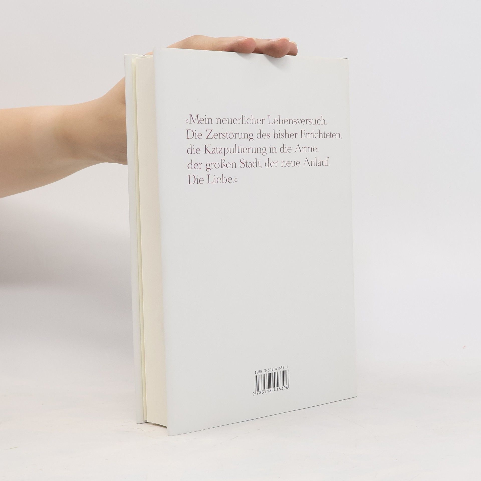 Paul Nizon Das Drehbuch der Liebe