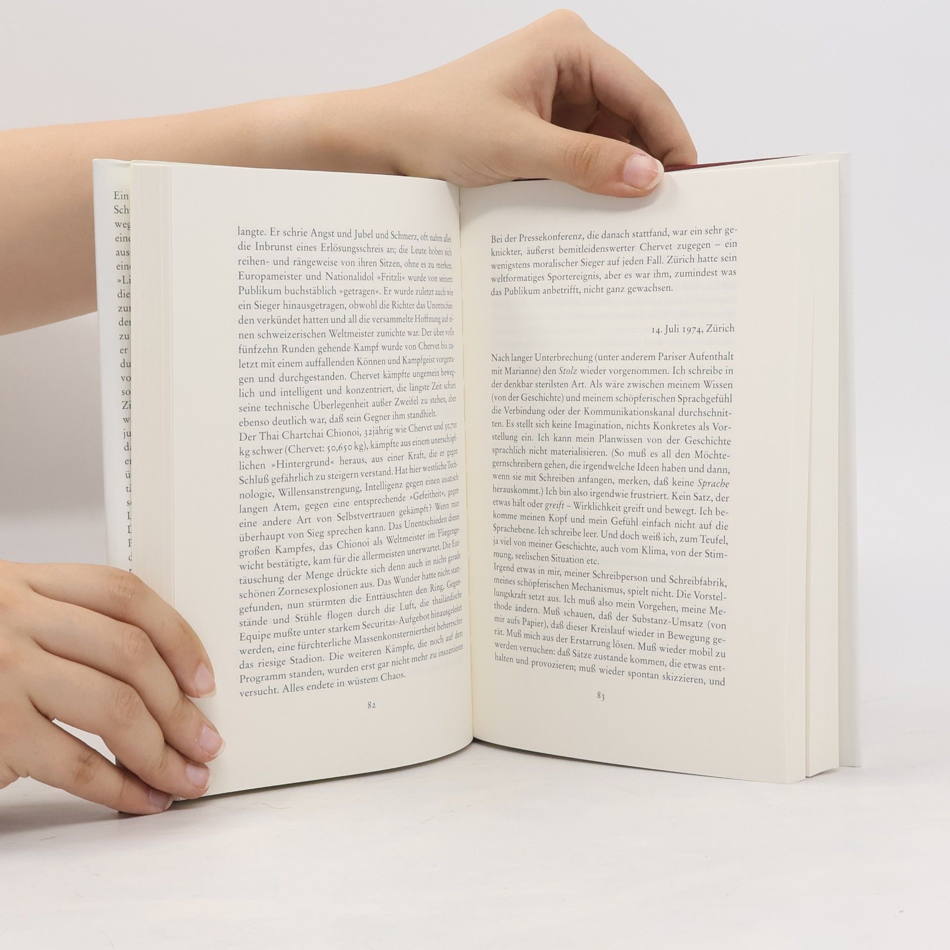 Paul Nizon Das Drehbuch der Liebe