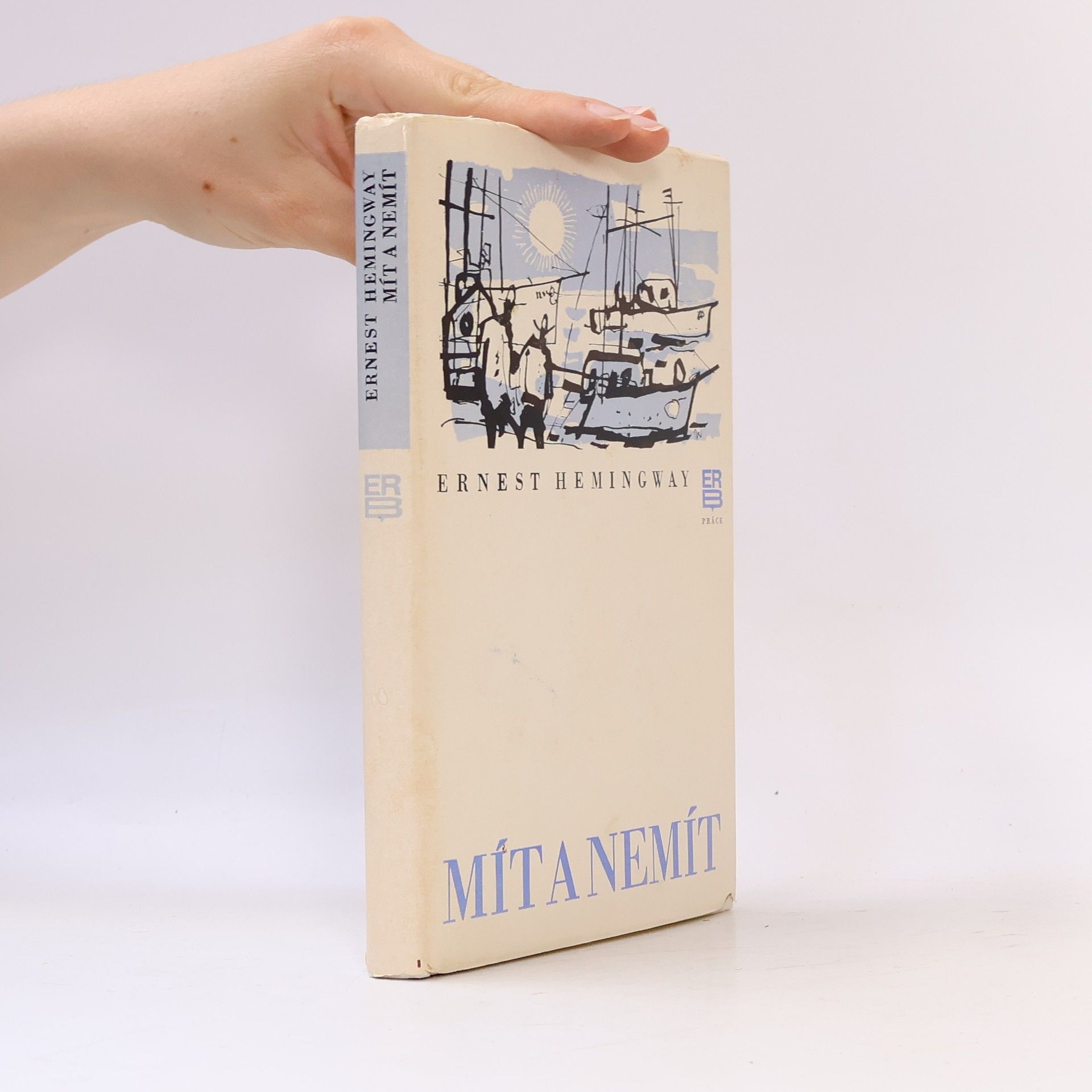 Ernest Hemingway Mít a nemít
