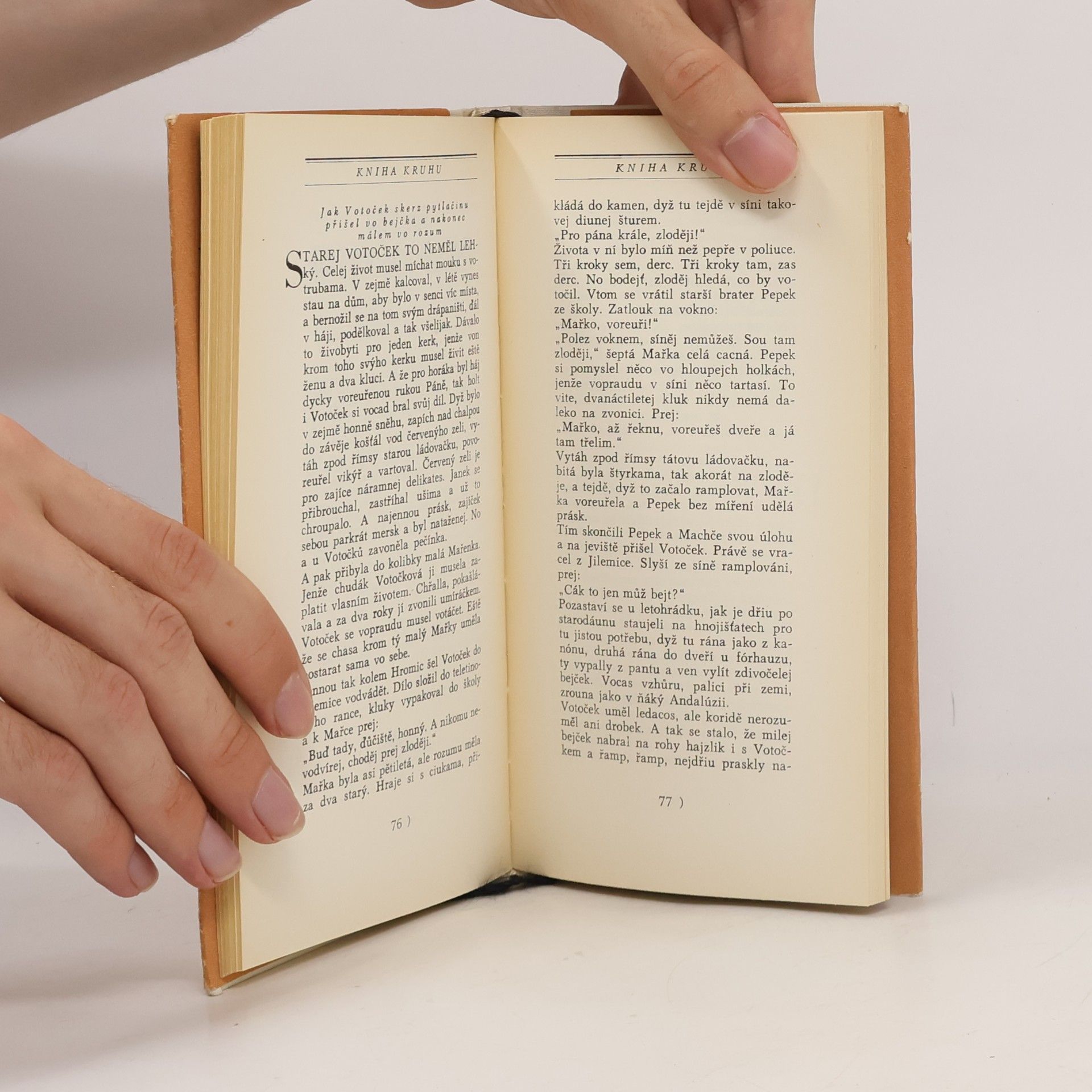 Collectif d'auteurs Příběhy těch některejch lidí