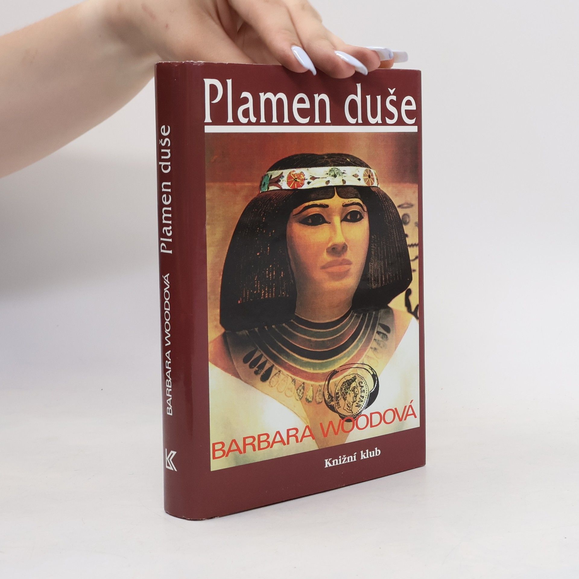 Barbara Wood Plamen duše