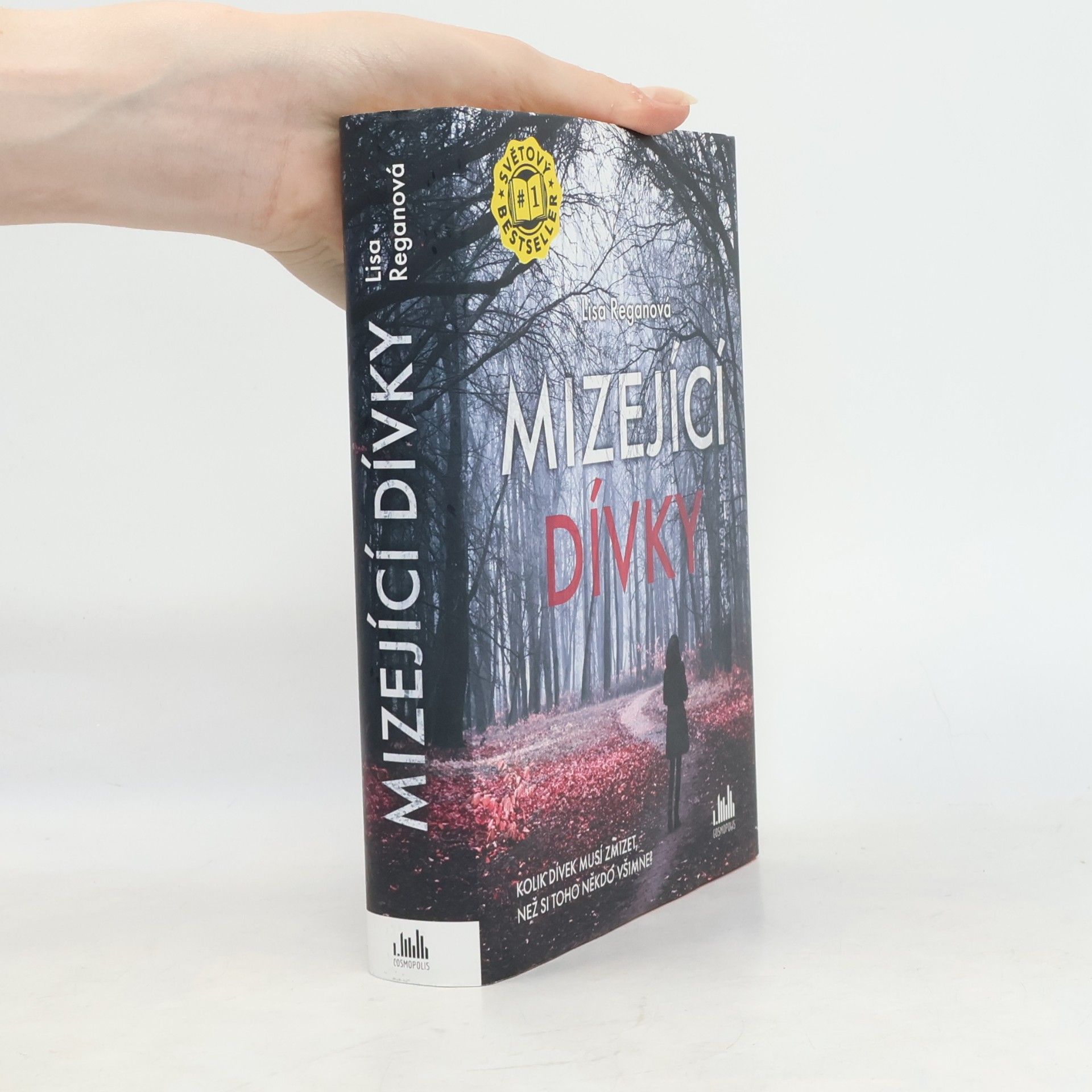 Lisa Regan Mizející dívky