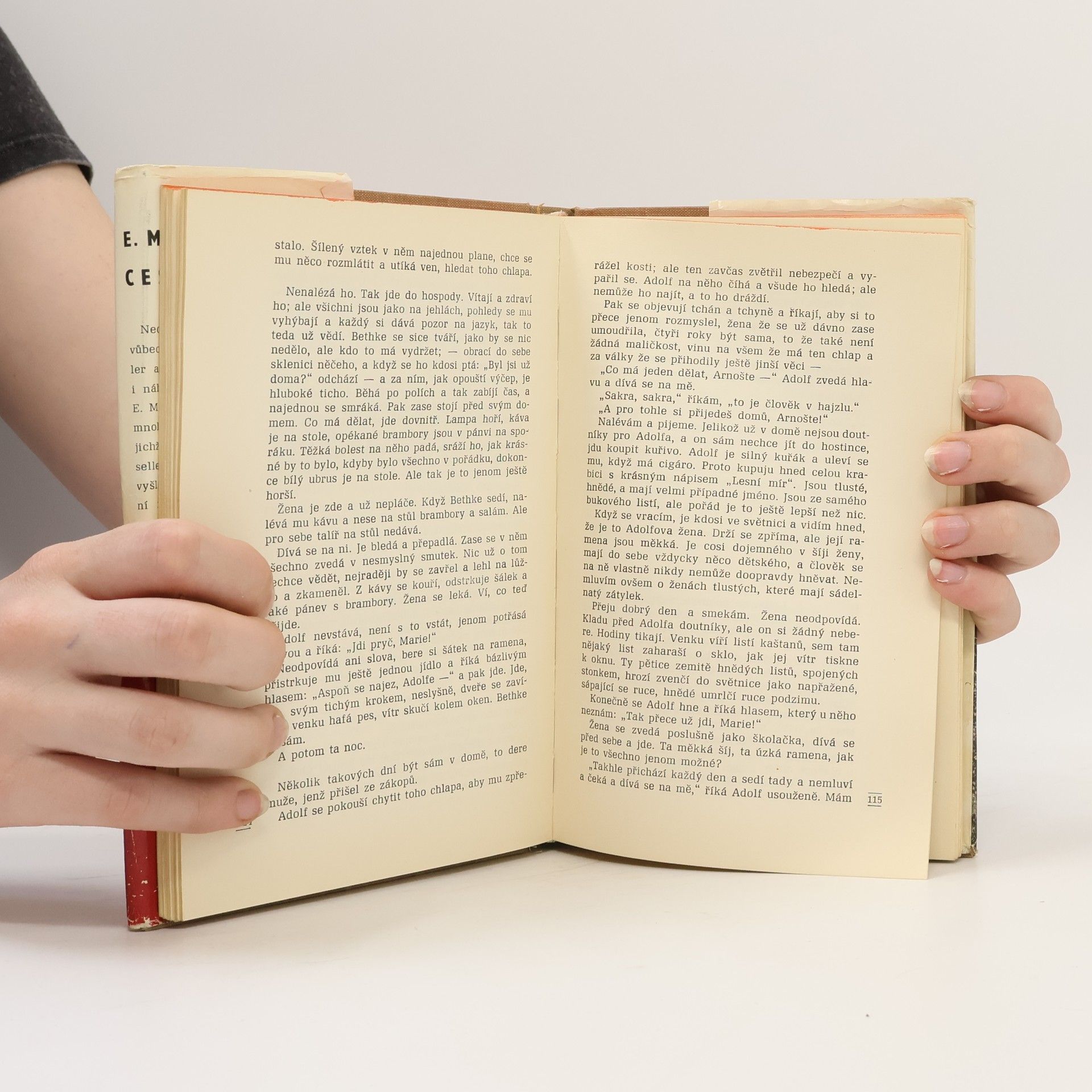 Erich Maria Remarque Cesta zpátky