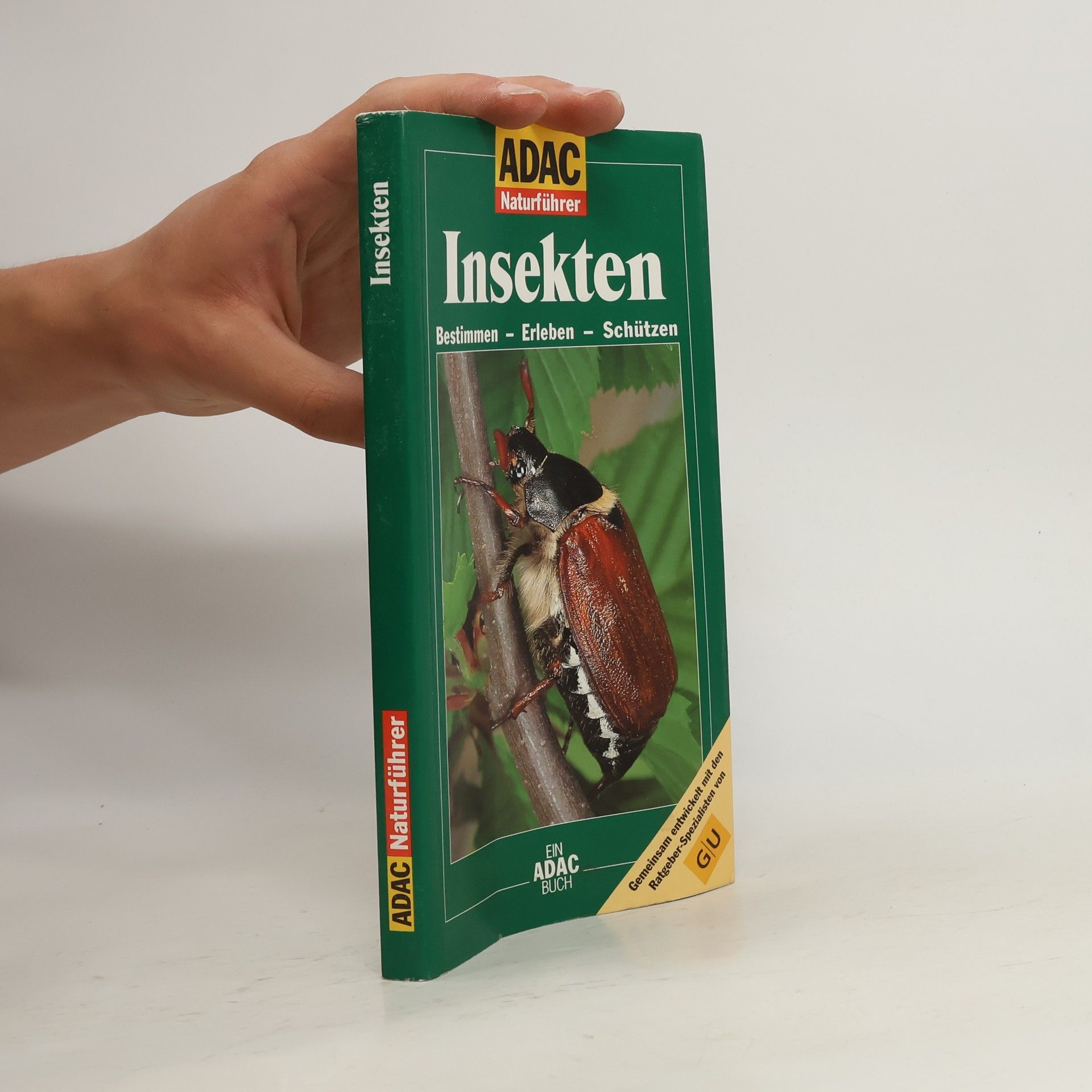 Helga Hofmann Insekten