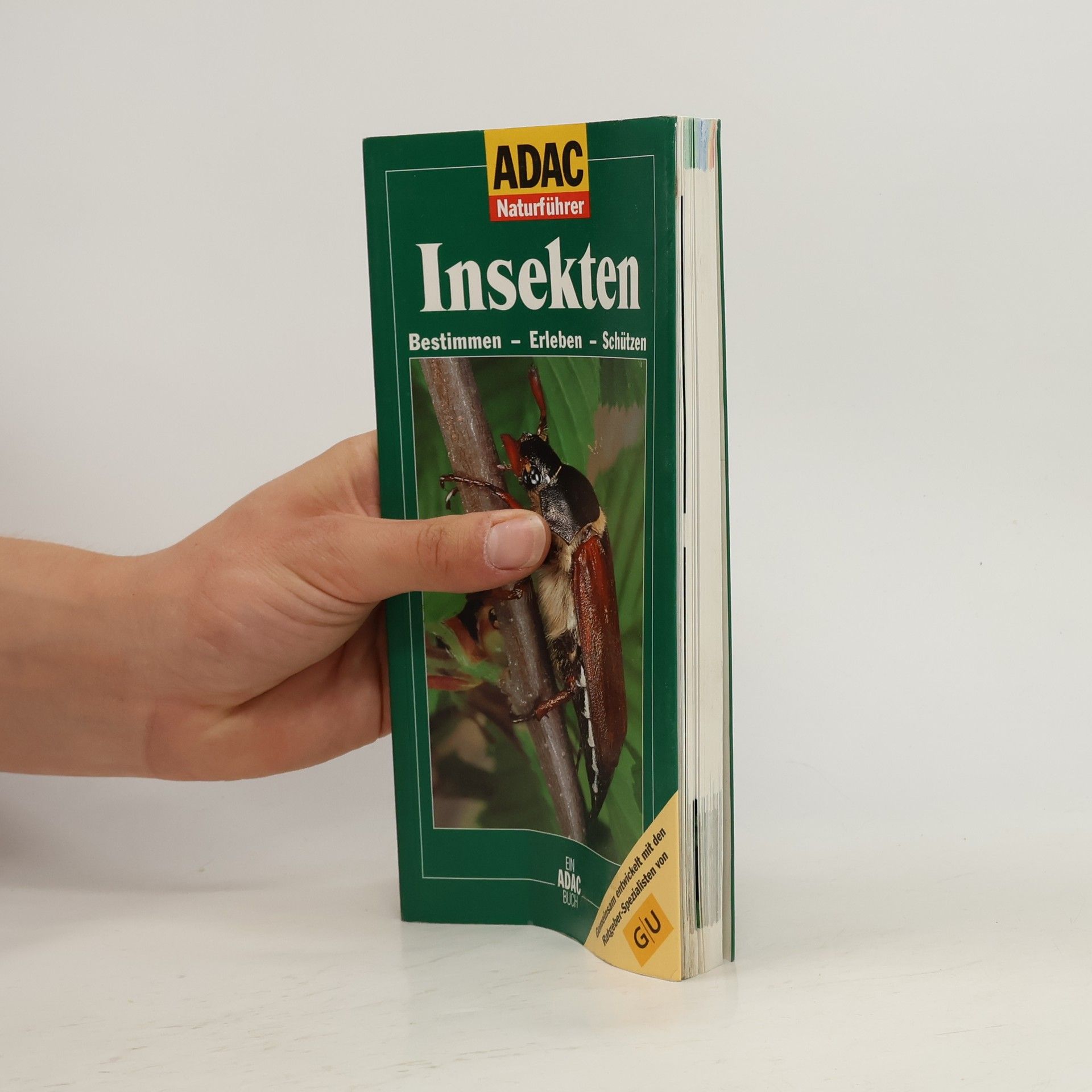 Helga Hofmann Insekten