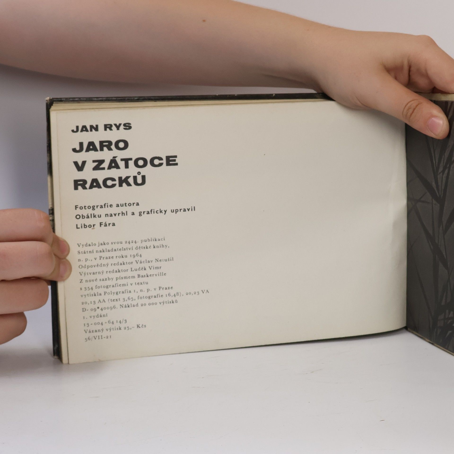 Jan Rys Jaro v zátoce racků
