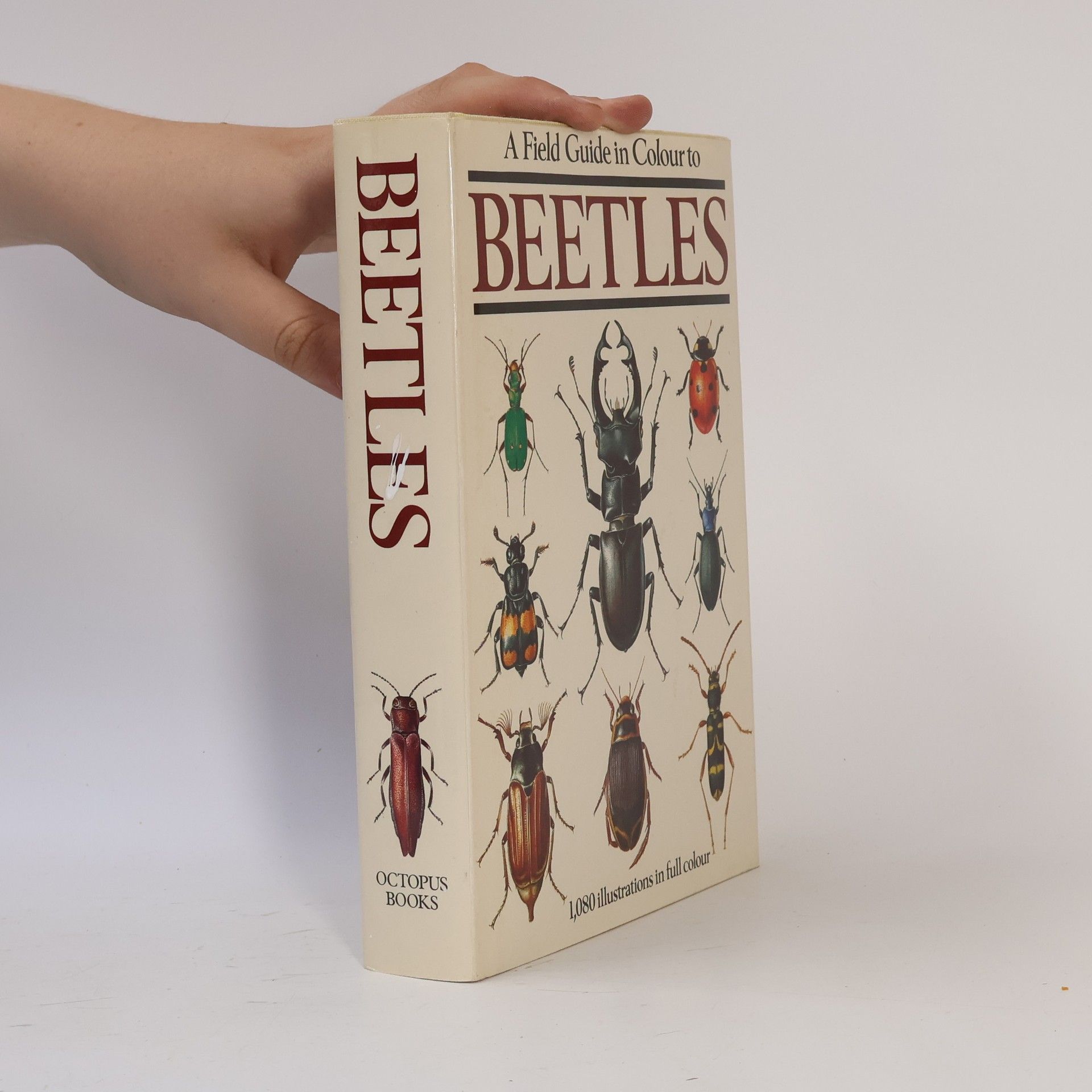 P. M. Hammond Field Guide in Colour to Beetles