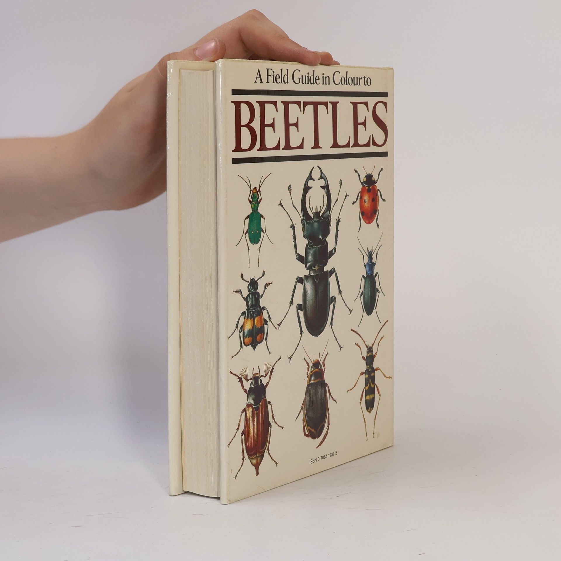 Karl Wilhelm Harde Field Guide in Colour to Beetles