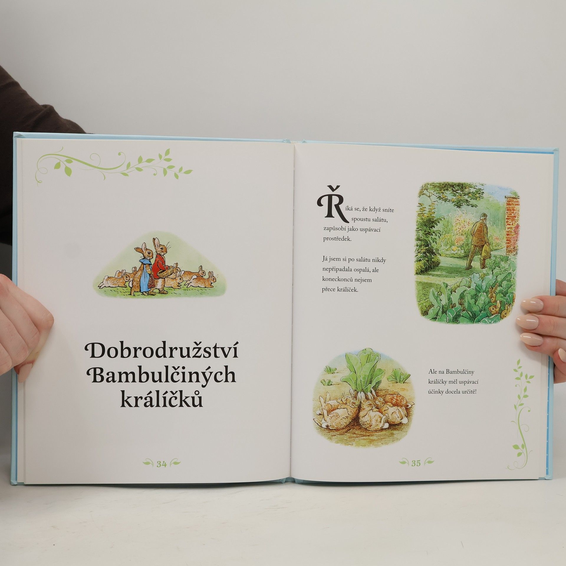 Beatrix Potter Příběhy králíčka Petra