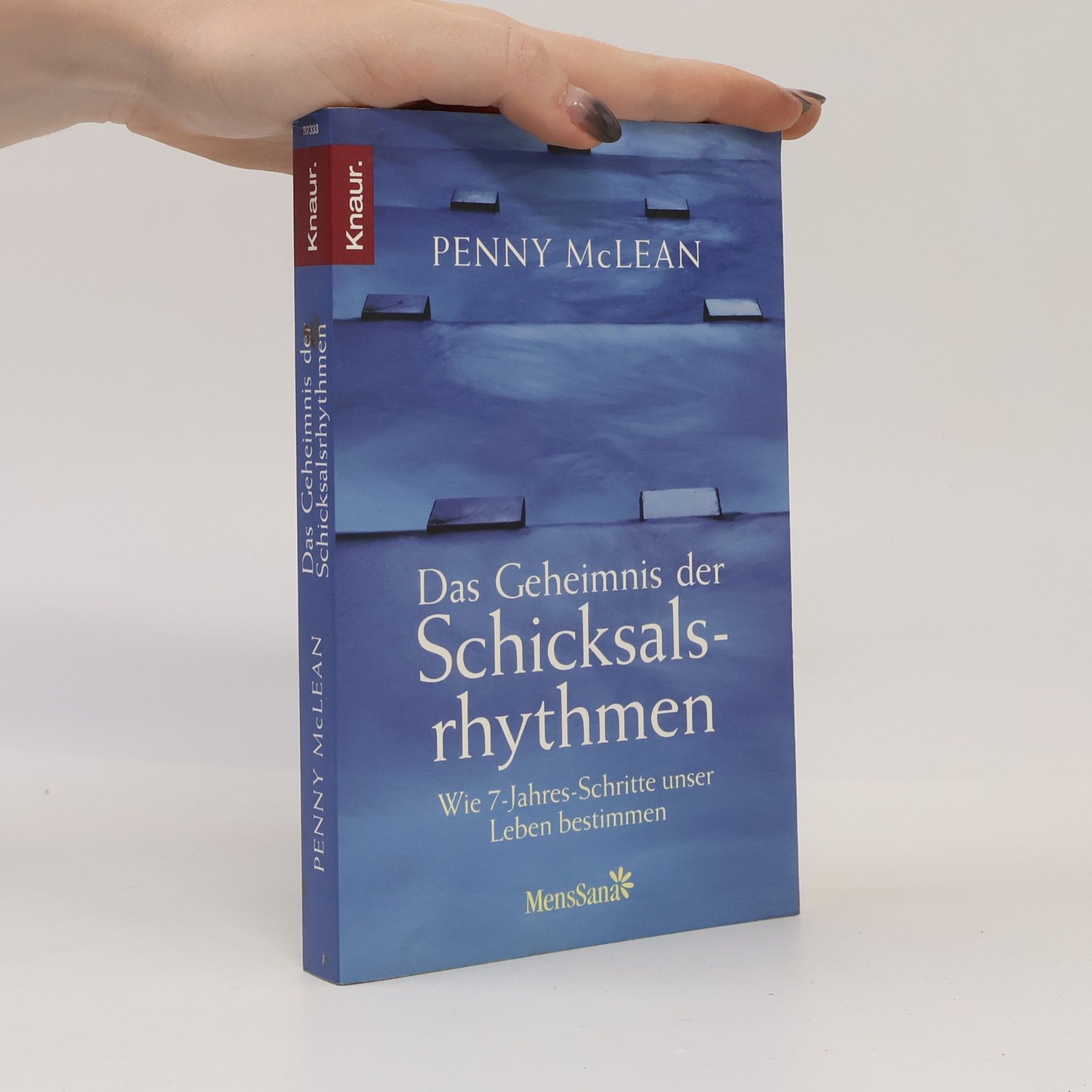 Penny McLean Das Geheimnis der Schicksalsrhythmen
